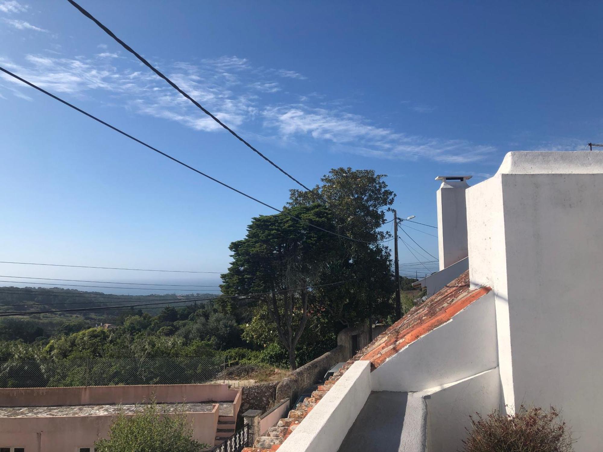 1 Penedo