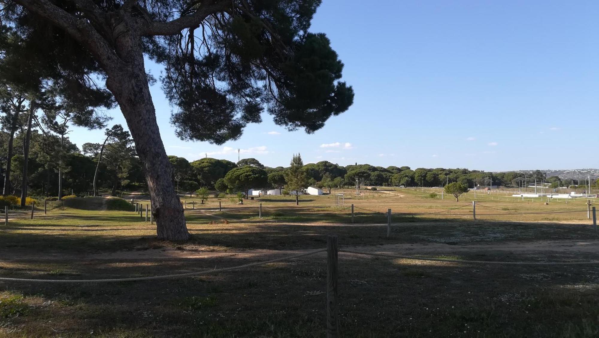 Apartamento Falésia Alfamar