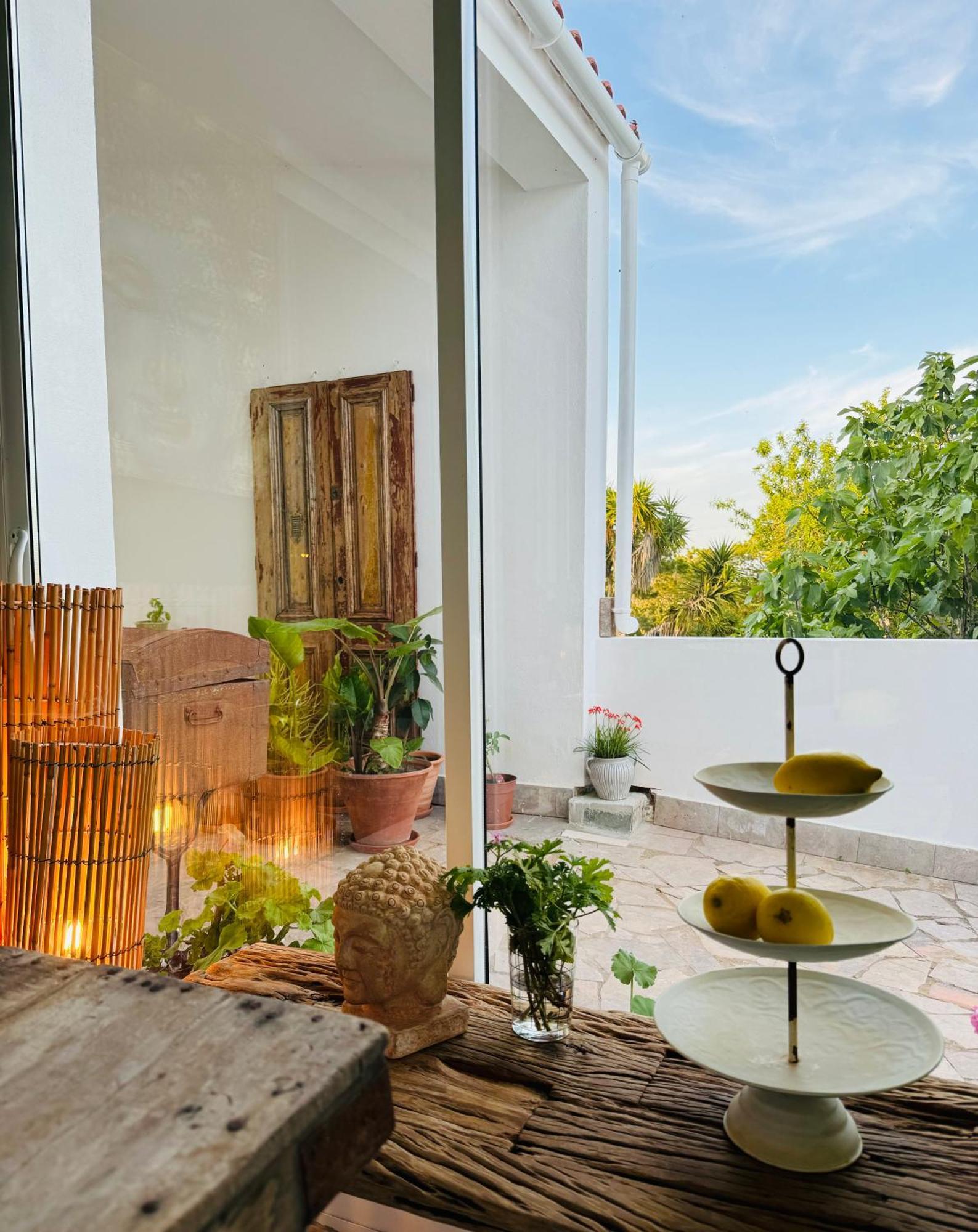 Palm View Guesthouse, Adults Only