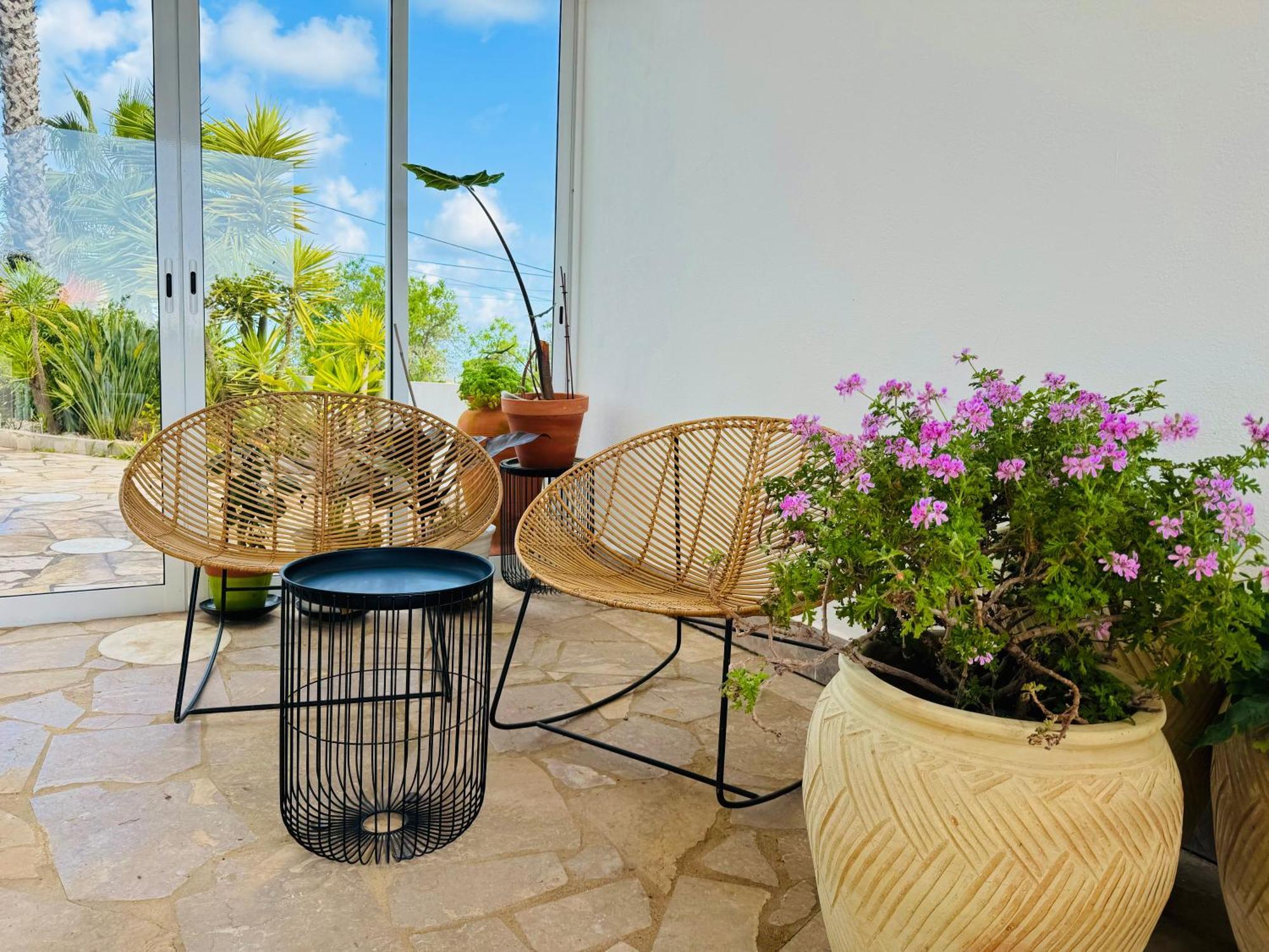 Bed & Breakfast Palm View Guesthouse, Adults Only