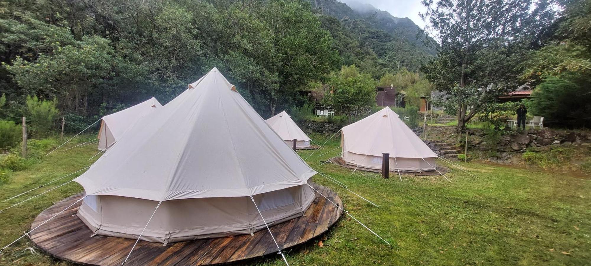 Nature Retreat - Laurel Forest