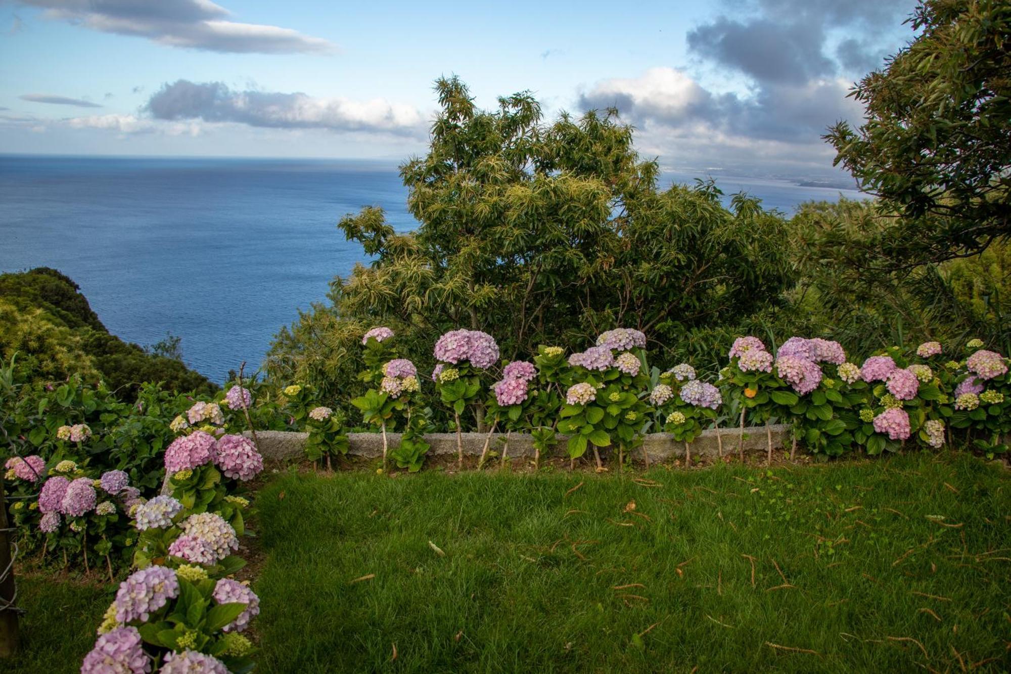 Apartment Oasis Fonte Grande Santo Antonio (Sao Miguel)