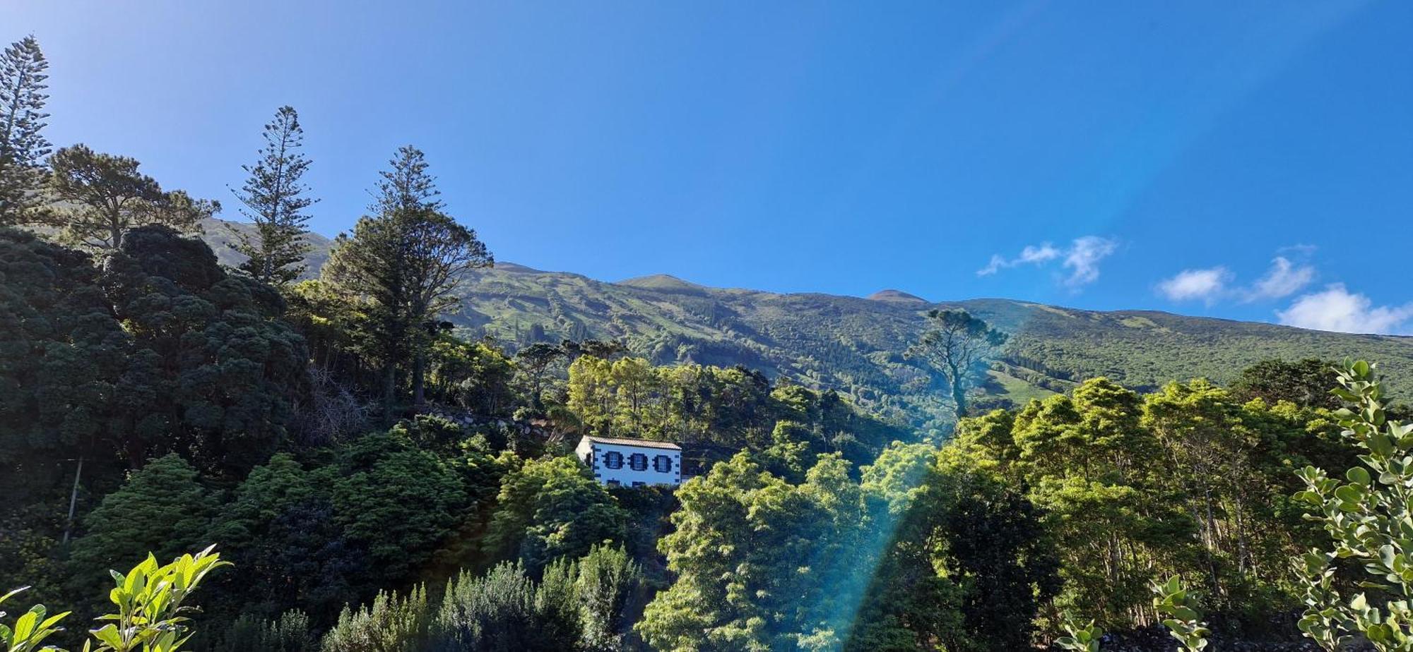 Vakantiehuis Adega Melo Pereira - 2 Quartos Com Vista Mar *