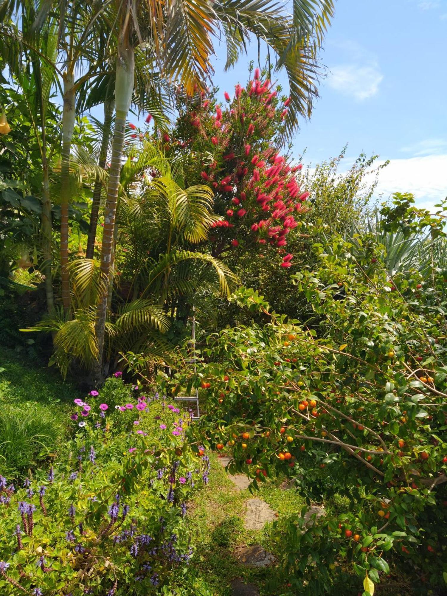 Biofuncho Garden Funchal (Madeira)
