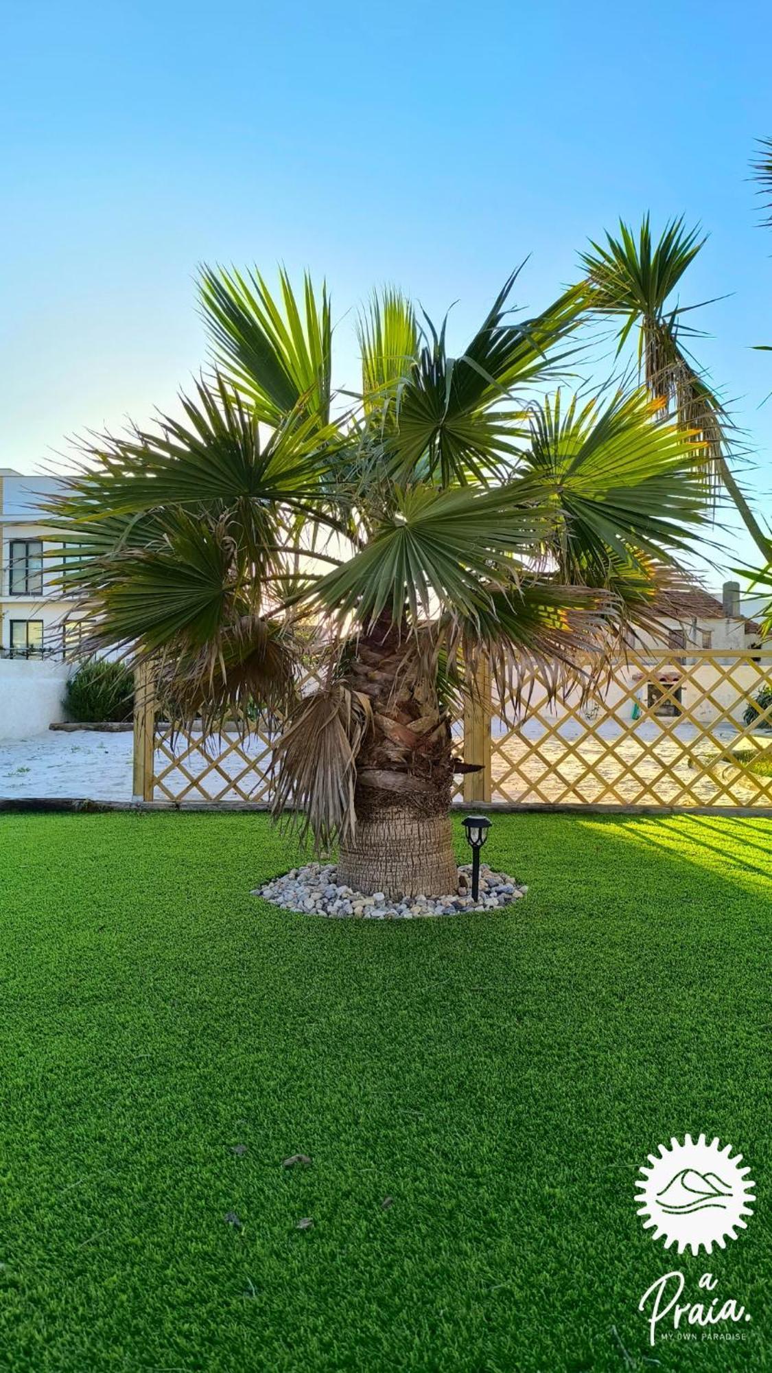 Apartment A Praia, My Own Paradise- Estudio