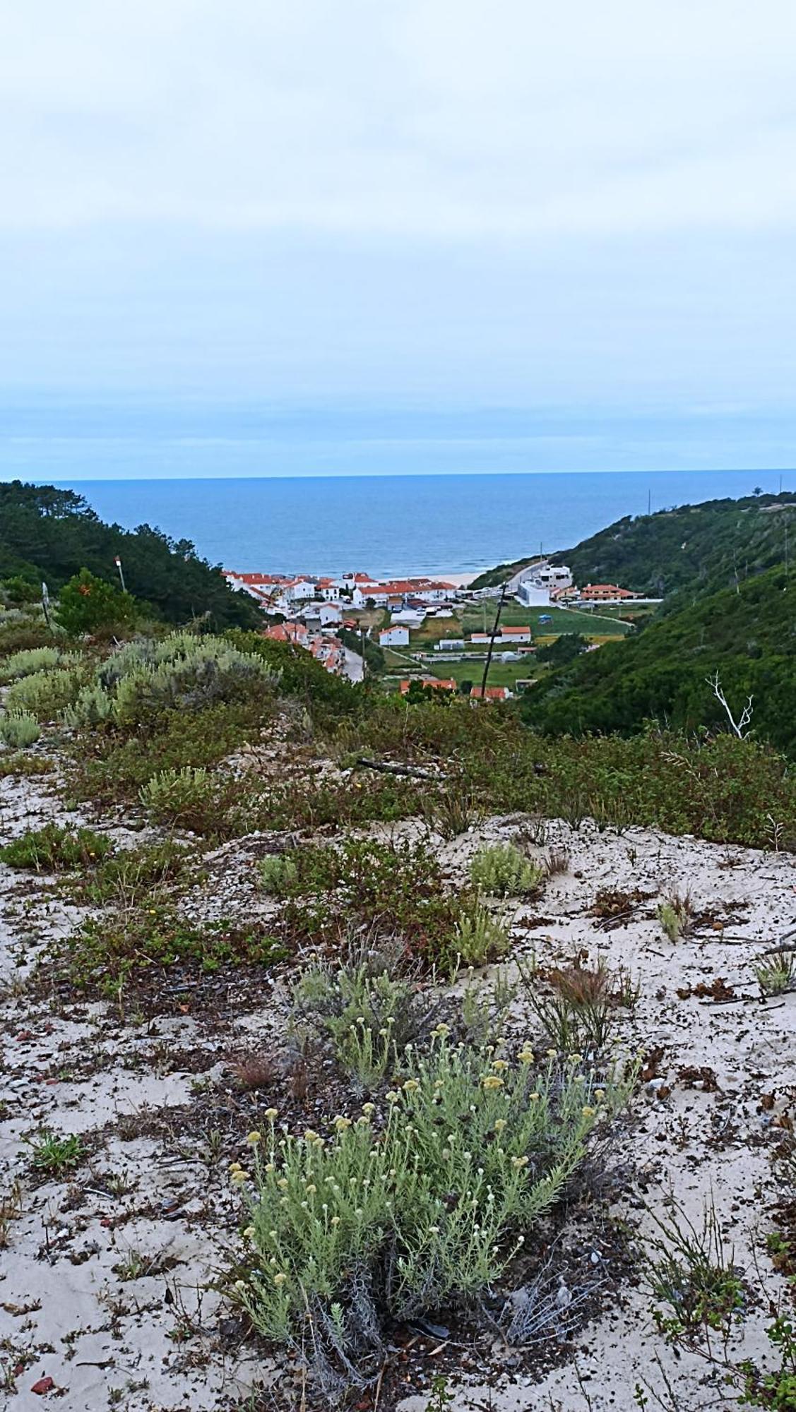 Apartment Tilda Private - 14 Km To Nazare Pataias