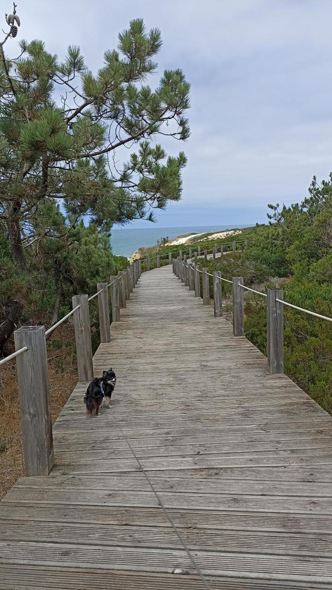 Apartment Tilda Private - 14 Km To Nazare