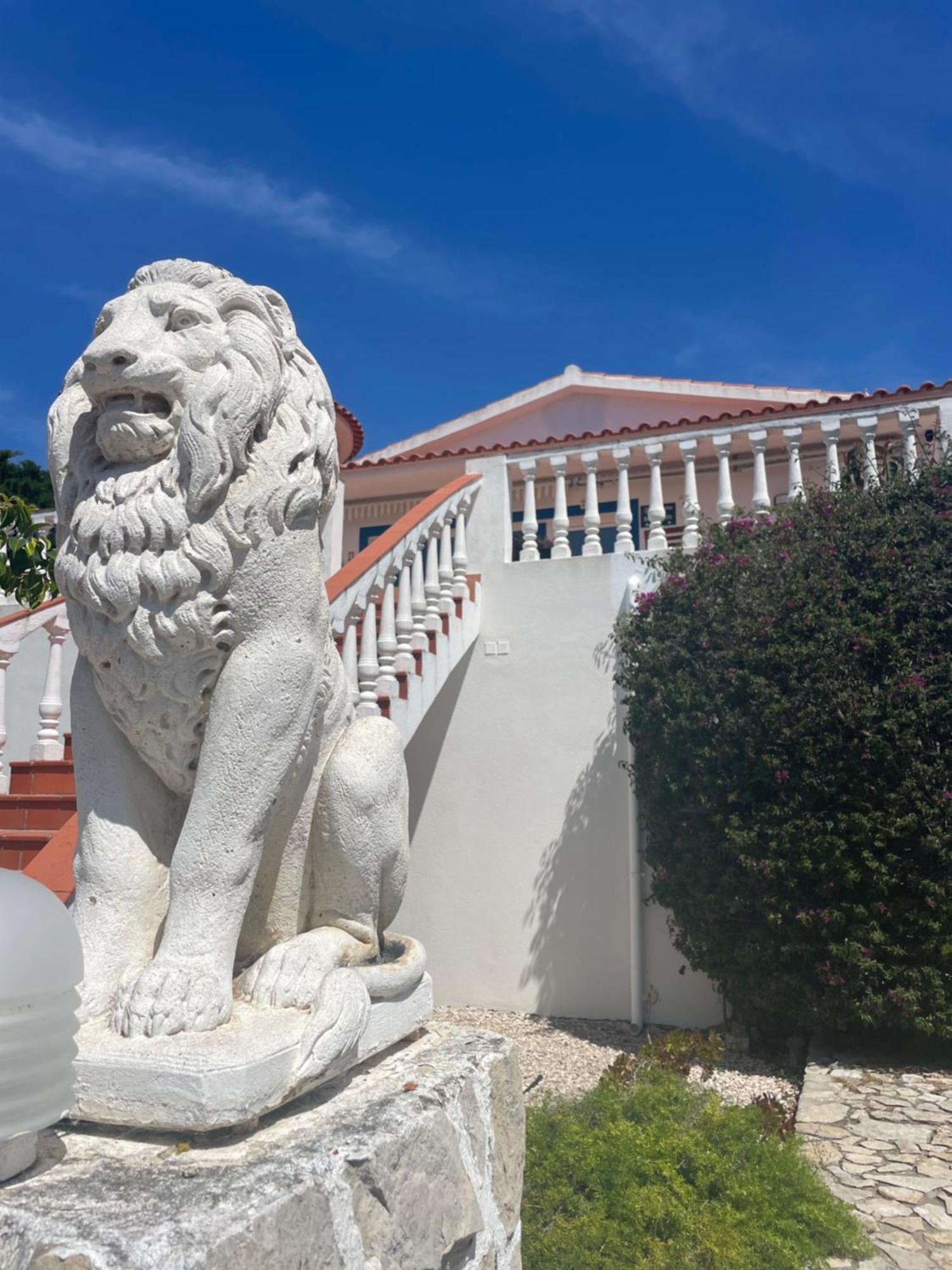 California Dream Holiday park Aljezur