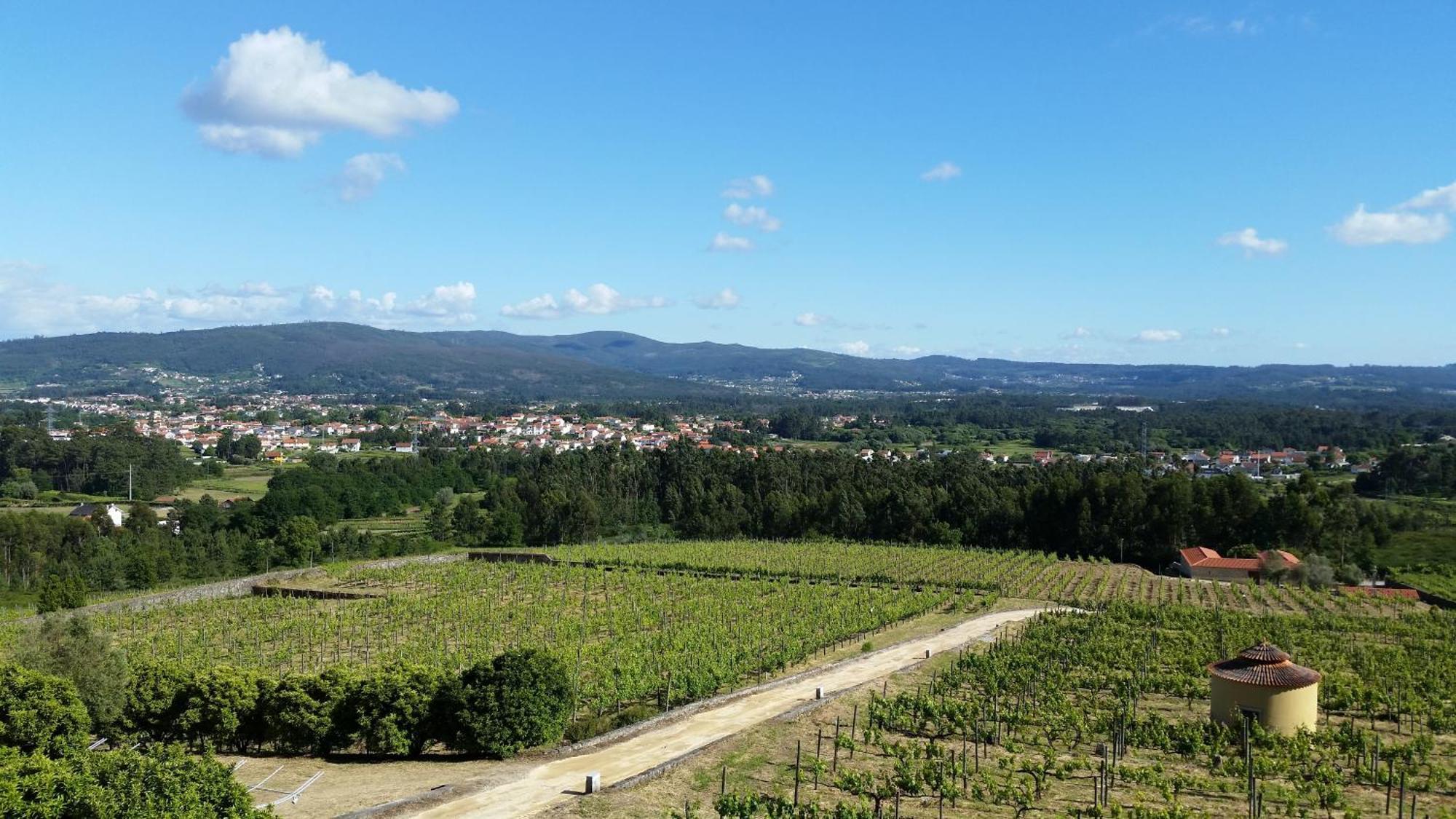 Casas Do Monte De Roques *