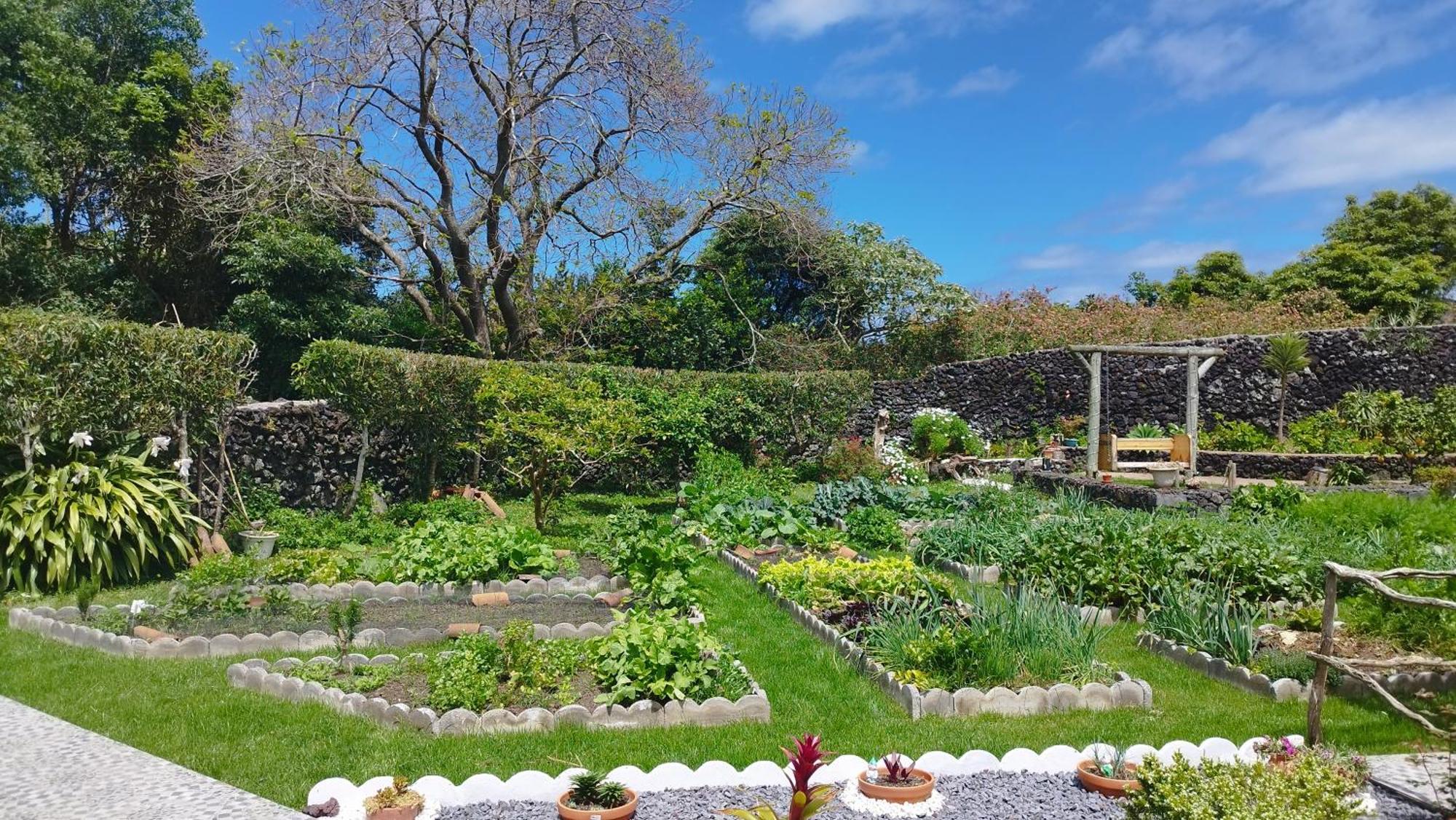 Quinta Dos Sentidos , Rustic In * São Vicente Ferreira