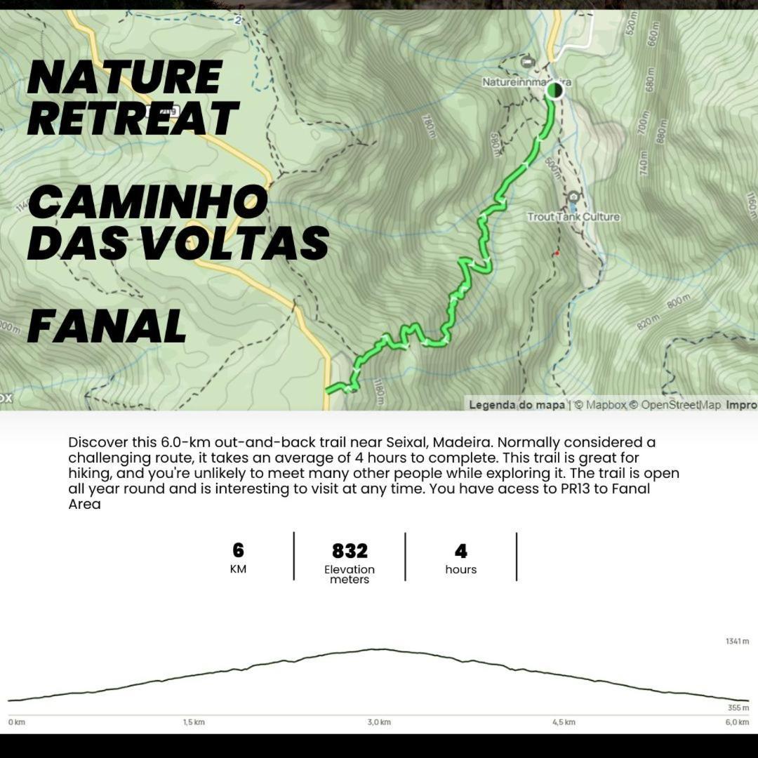 Nature Retreat - Laurel Forest