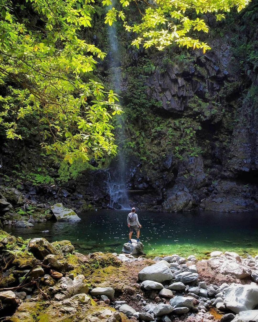 Nature Retreat - Laurel Forest Tenda de luxo *