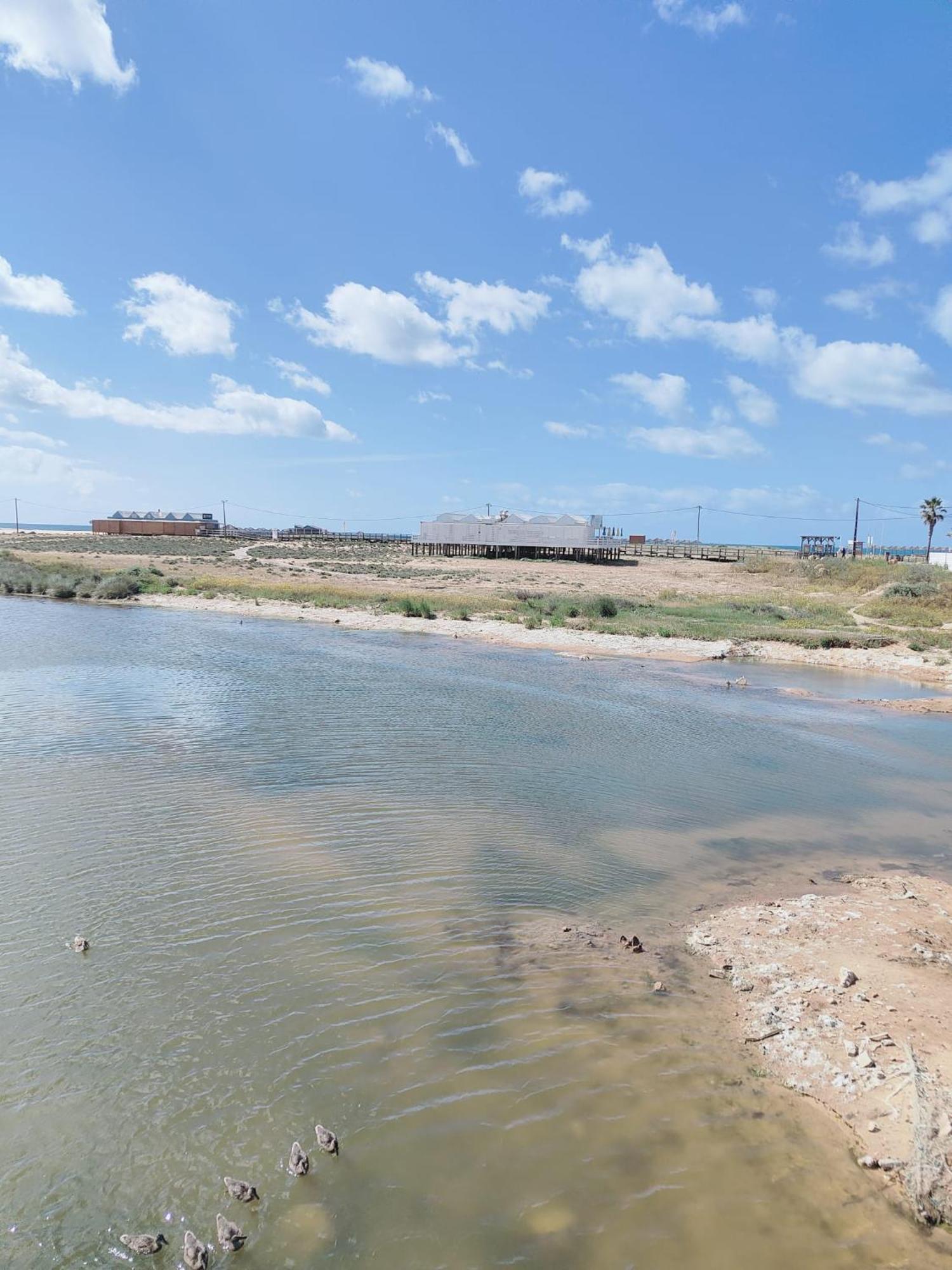 Bayline- Beachfront And Pool