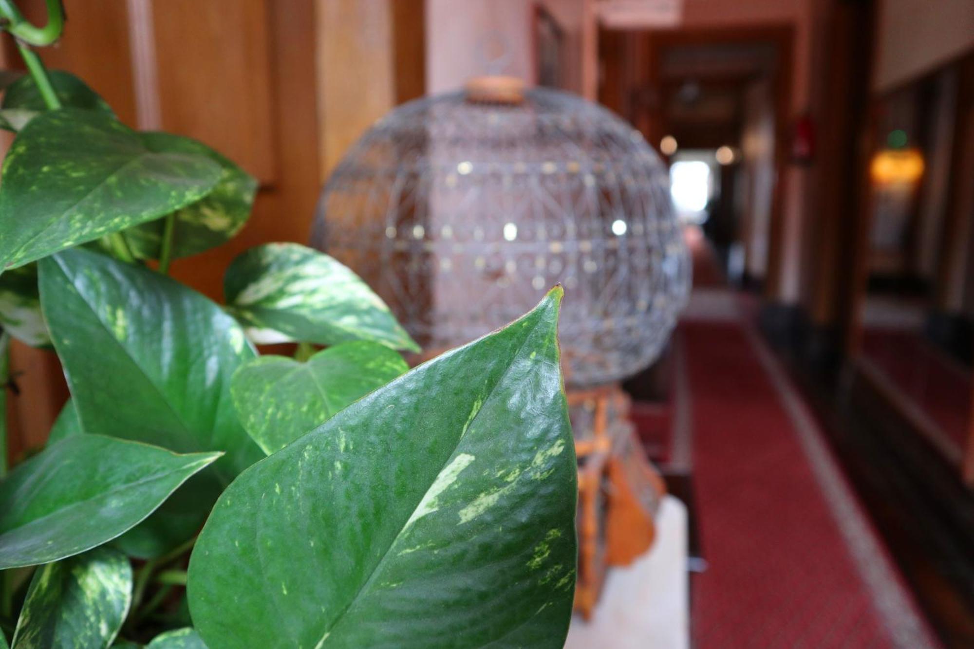 Alegre - Bussaco Boutique Hotel 3*