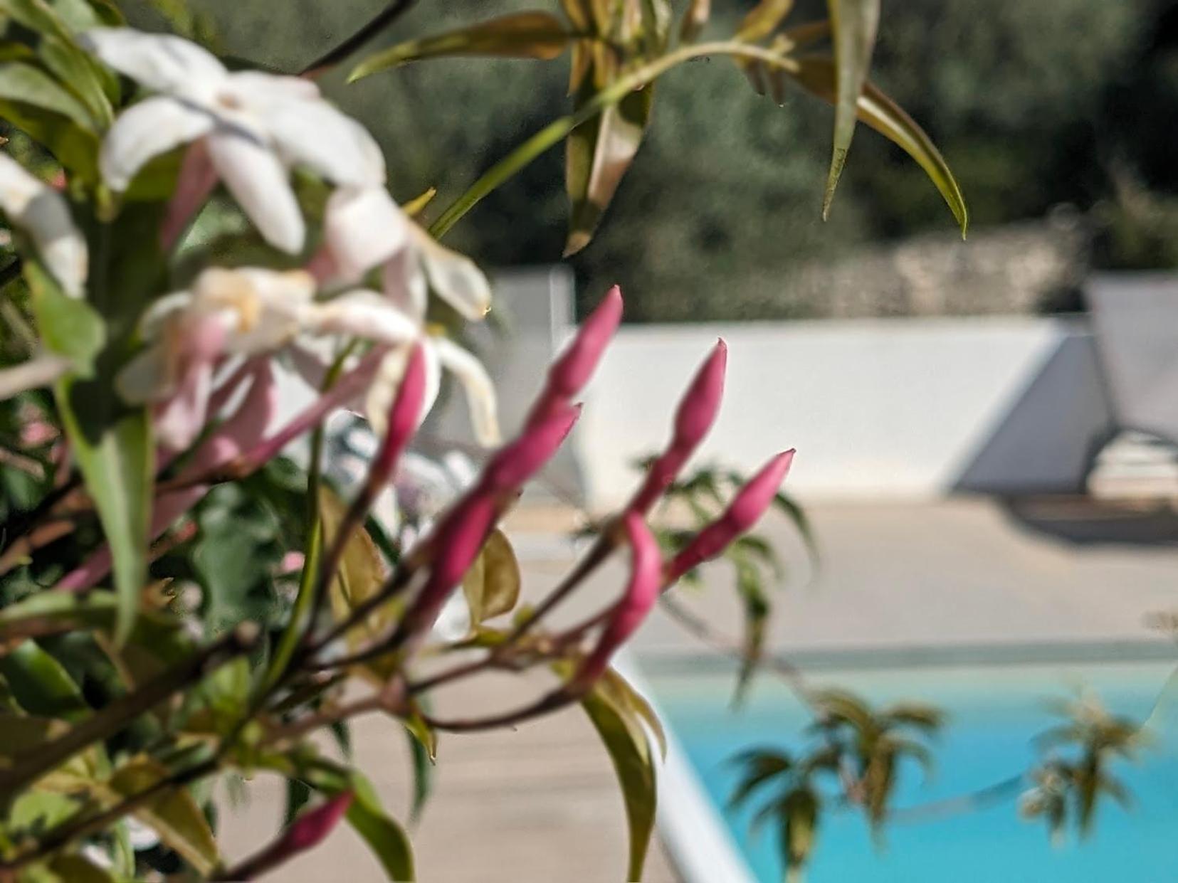 Casa Boho - Turismo Rural Bed & Breakfast