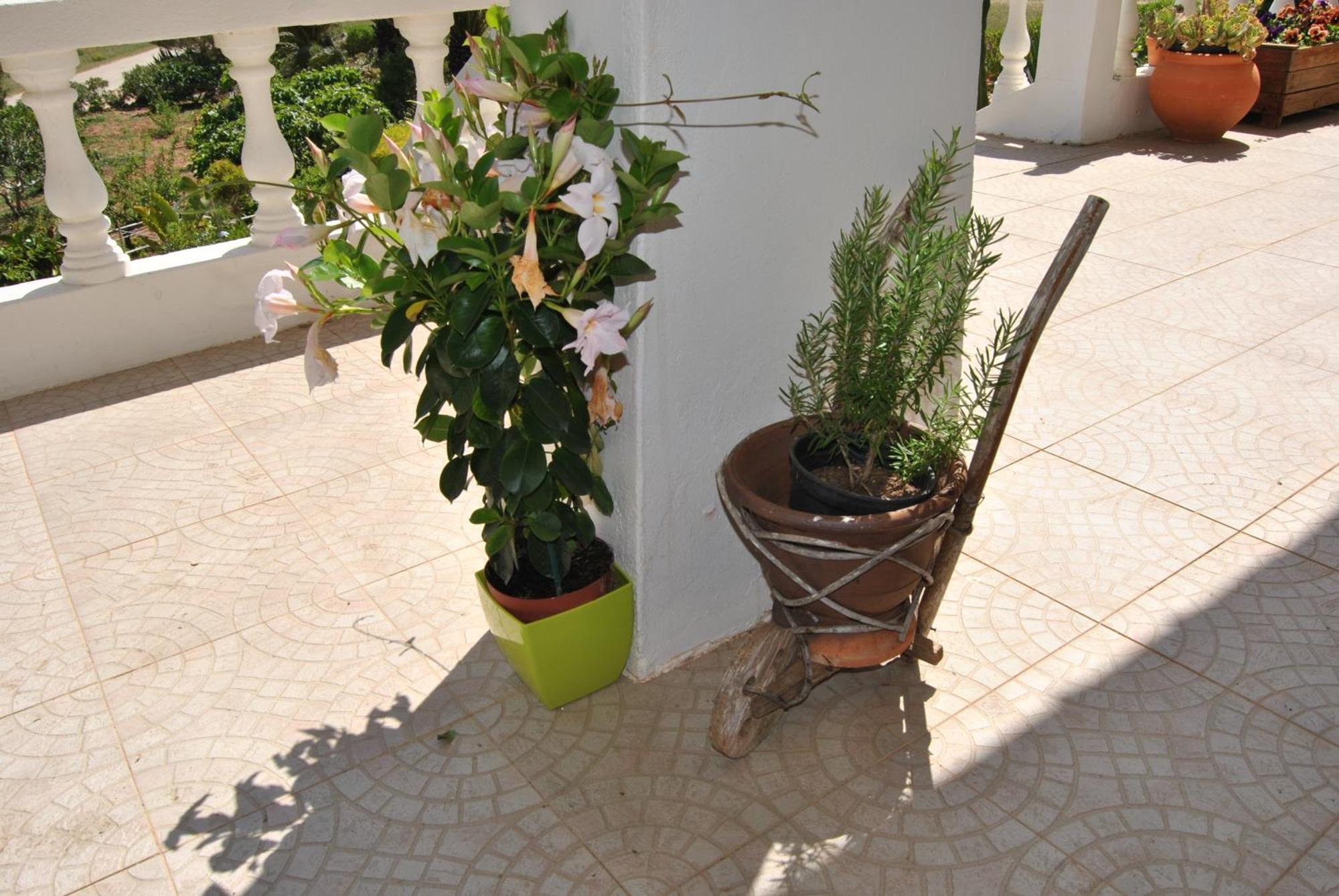 Vivenda Familia Pedro Guest house