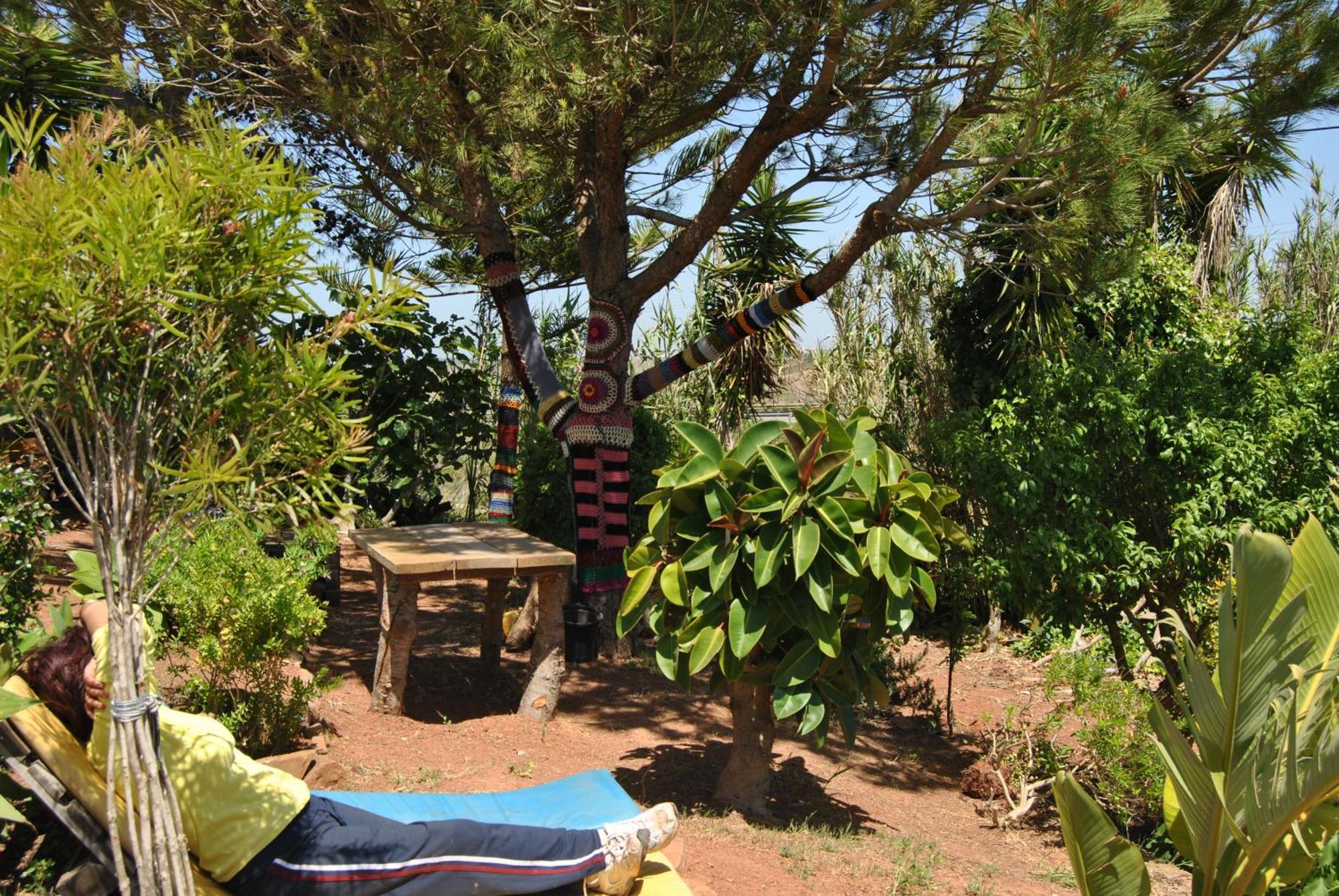 Vivenda Familia Pedro Vila do Bispo