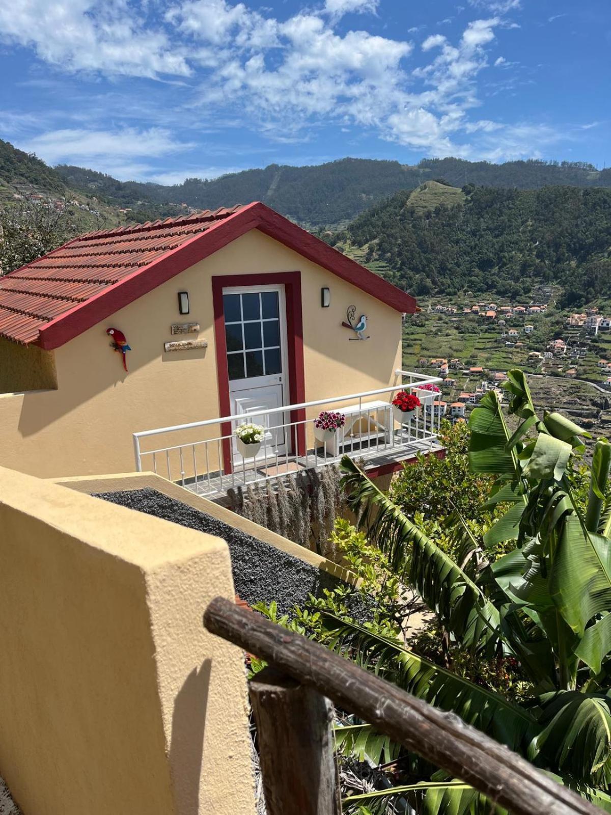 Tropical House Ribeira Brava