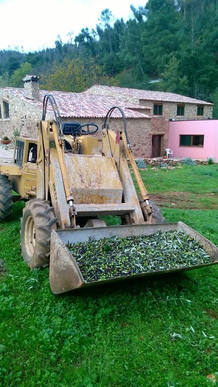 Agroturismo Sete *