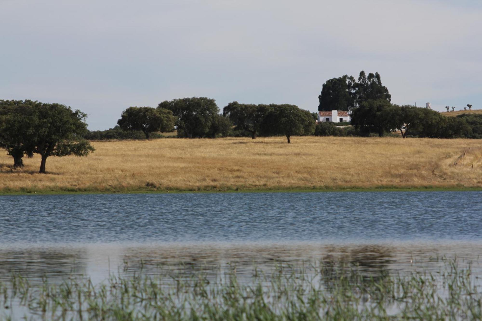 Pateo Dos Solares Charm 4* Estremoz