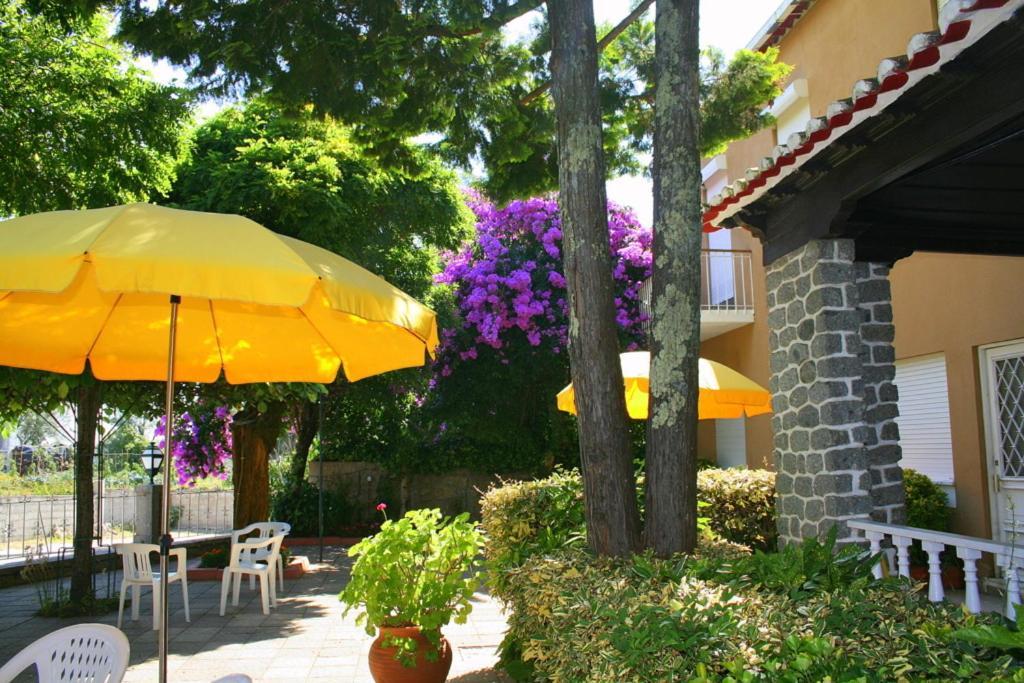 Corredoura Garden Guest house Caldelas