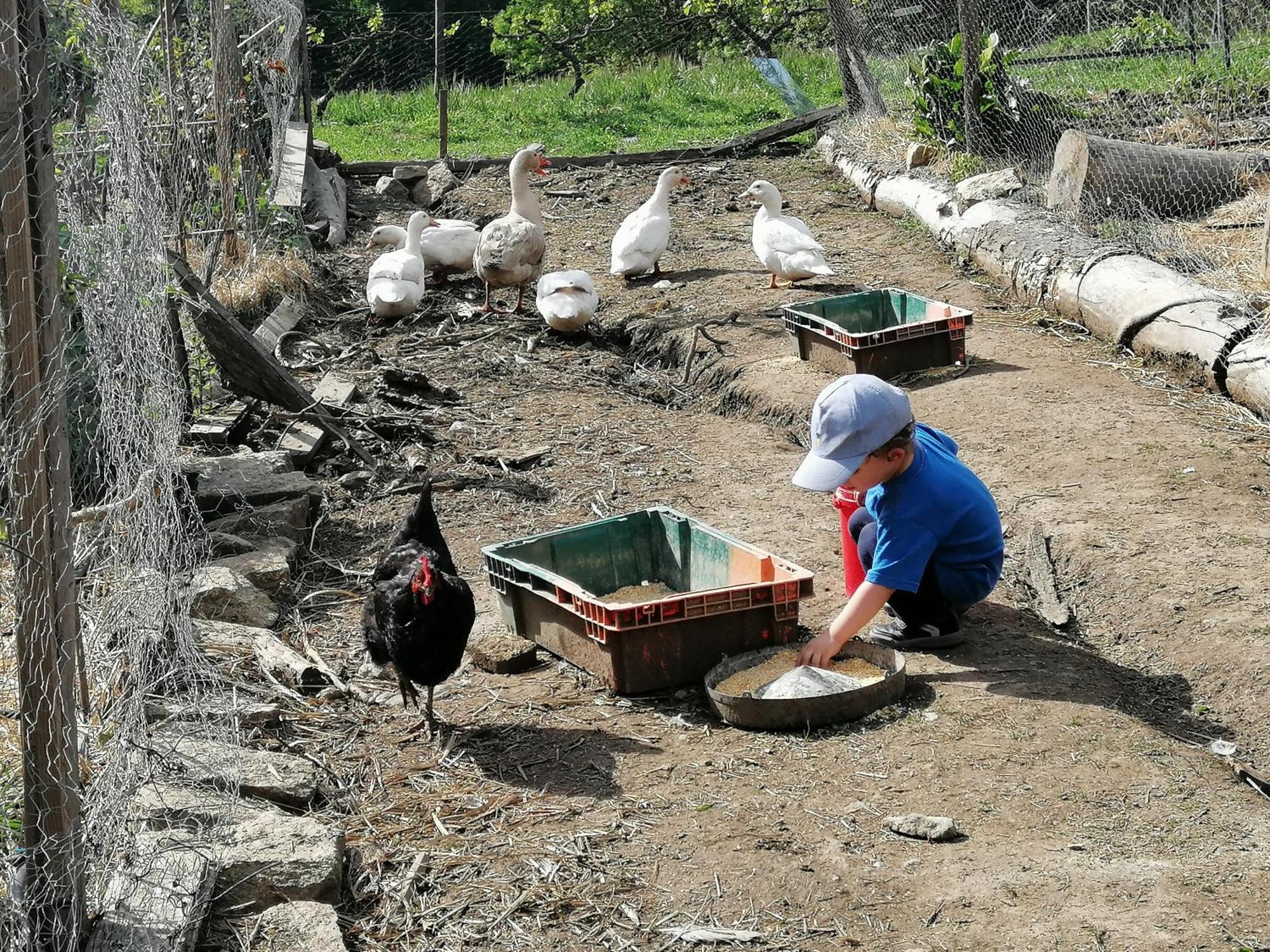 Casa rural Quinta Da Mata - Turismo De Habitacao