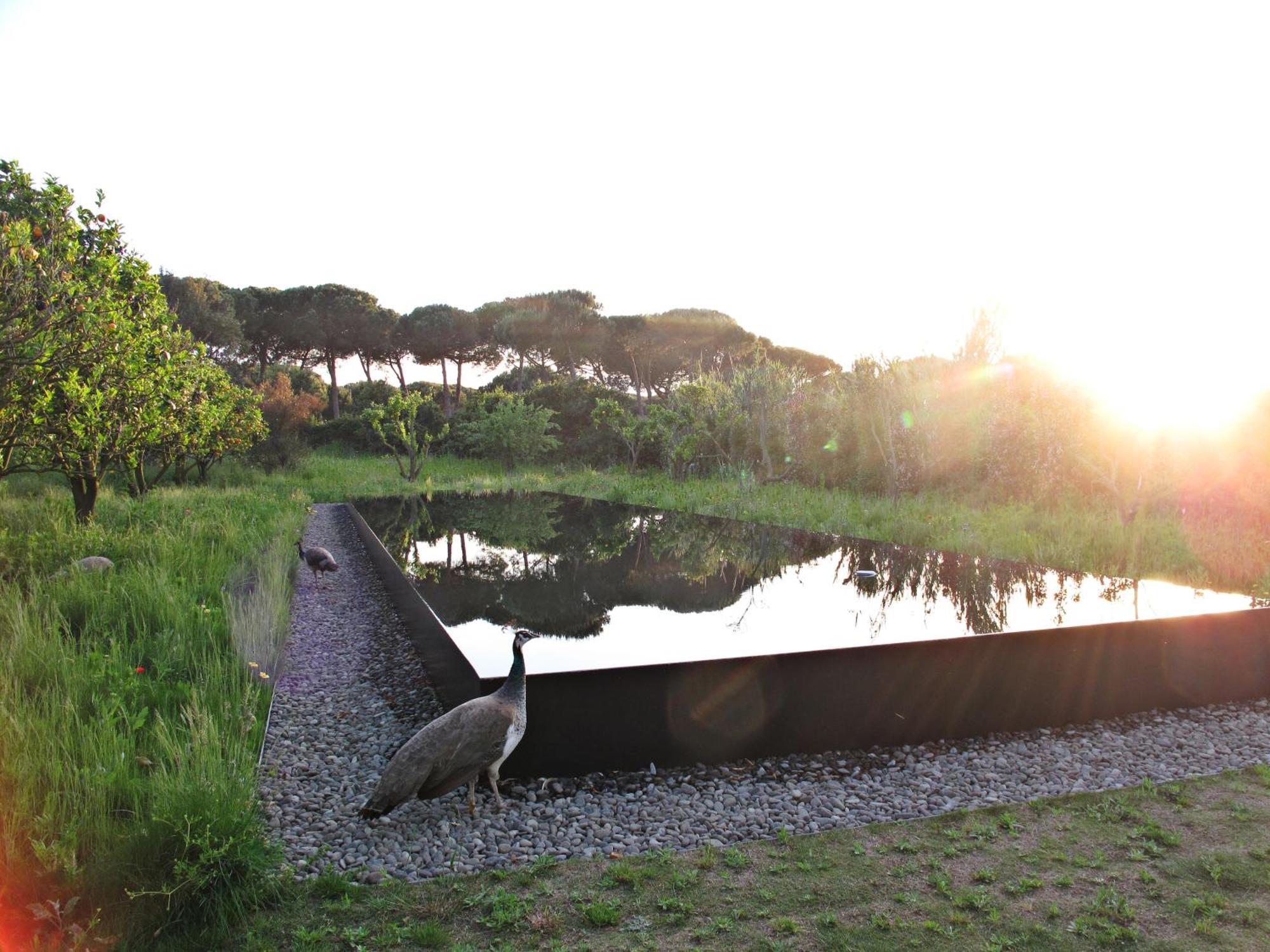 Quinta Do Miguel Aldeia do Meco