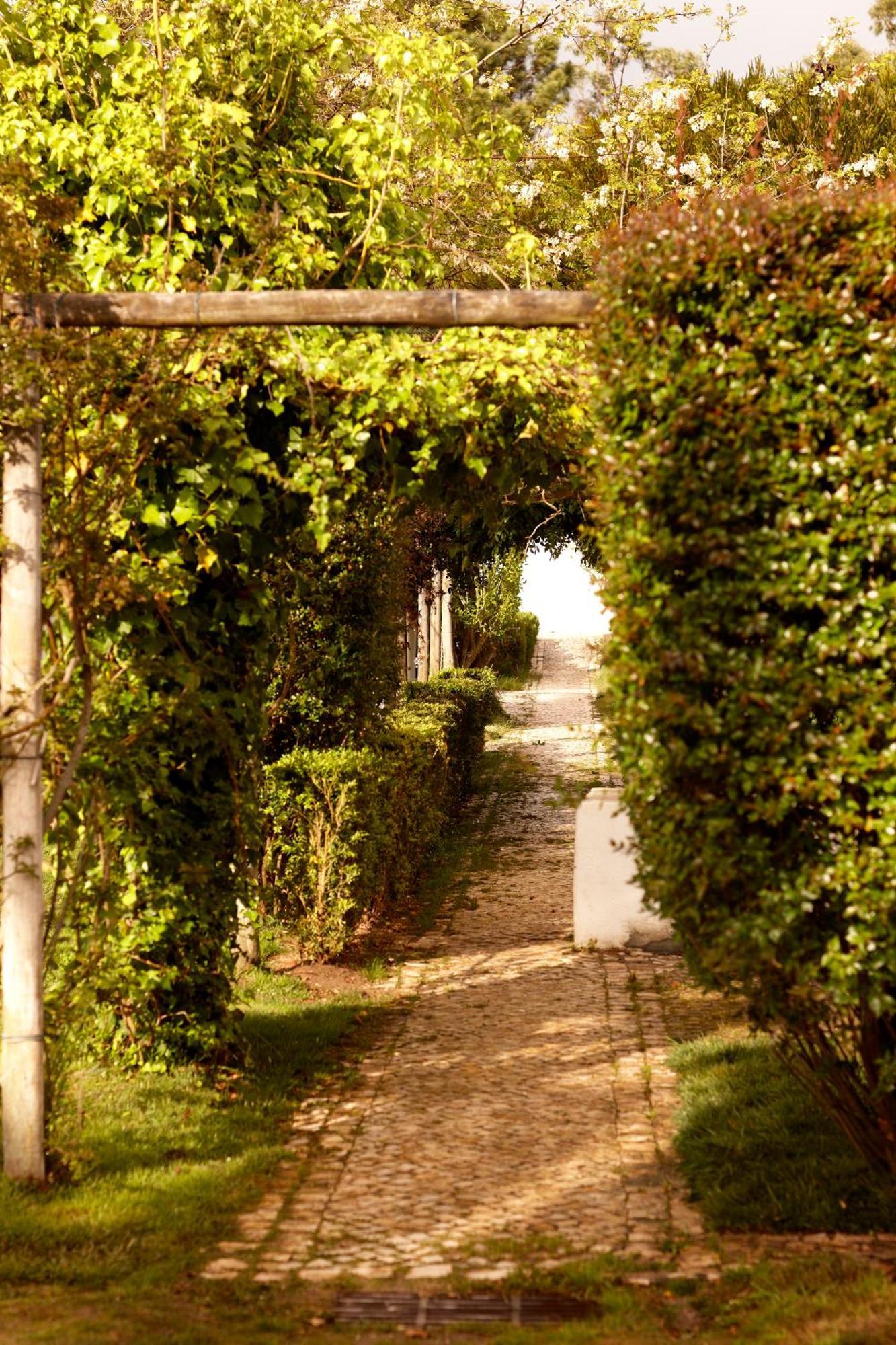 Agroturismo Quinta Do Miguel