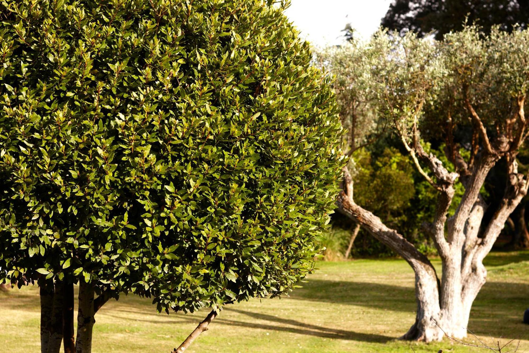 Agroturismo Quinta Do Miguel *
