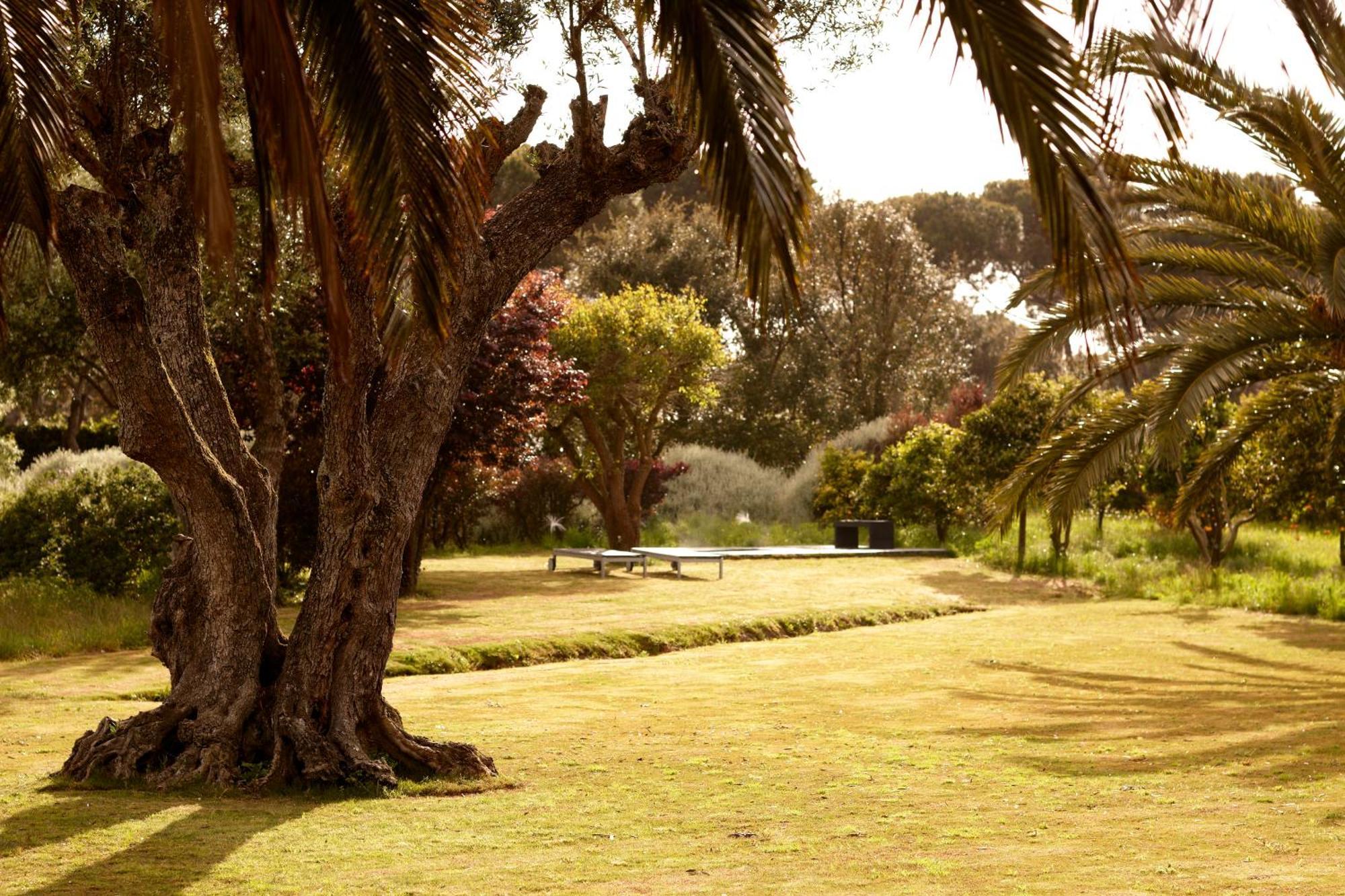 Quinta Do Miguel