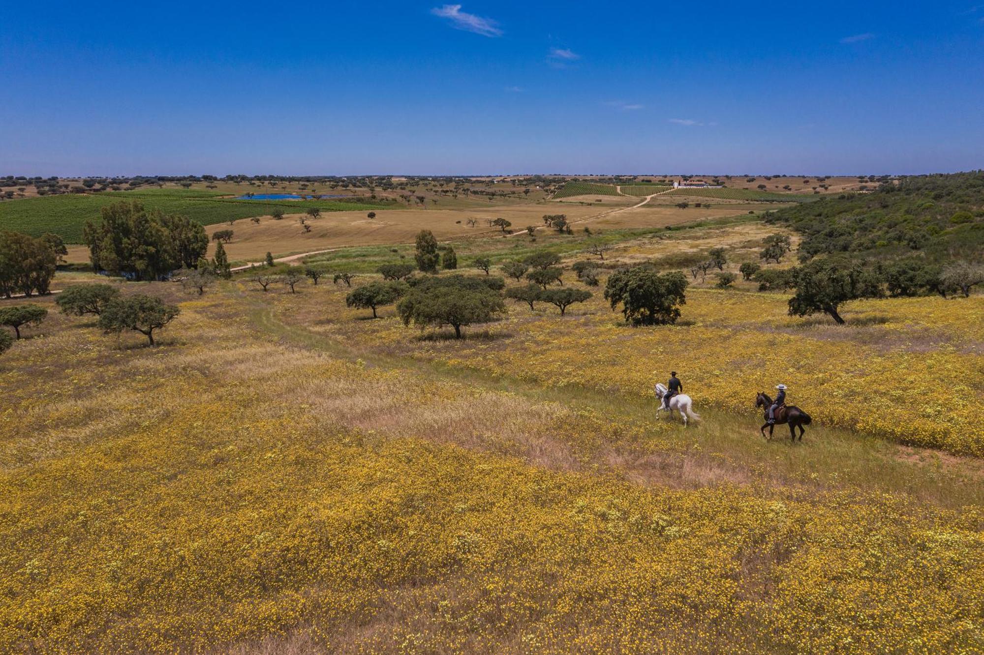 Herdade Da Malhadinha Nova - Relais & Chateaux Hotel 5*