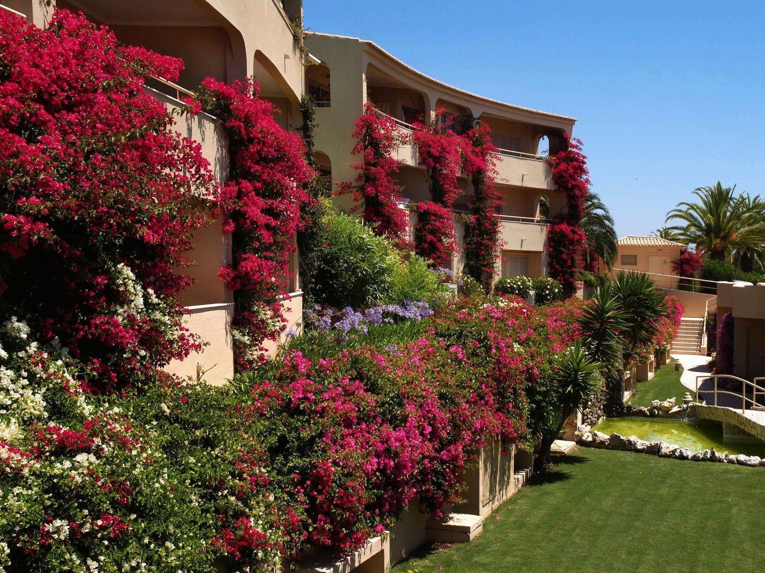 Apartment Vila Palmeira Beach Resort Lagos