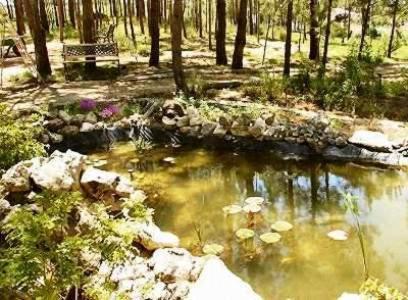 Quinta Dos Amarelos No Meco Casa de hóspedes