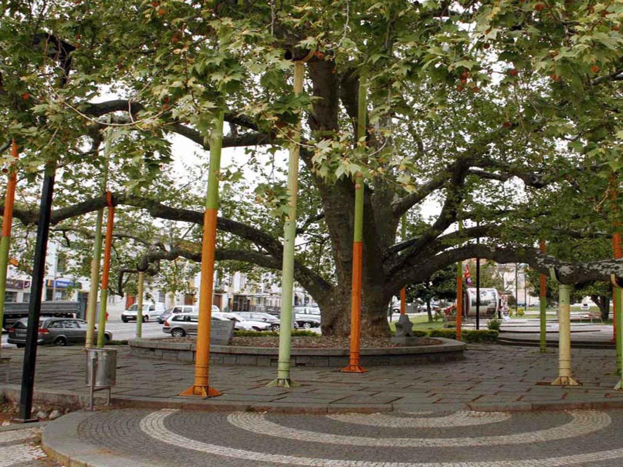 Hotel Rossio Portalegre