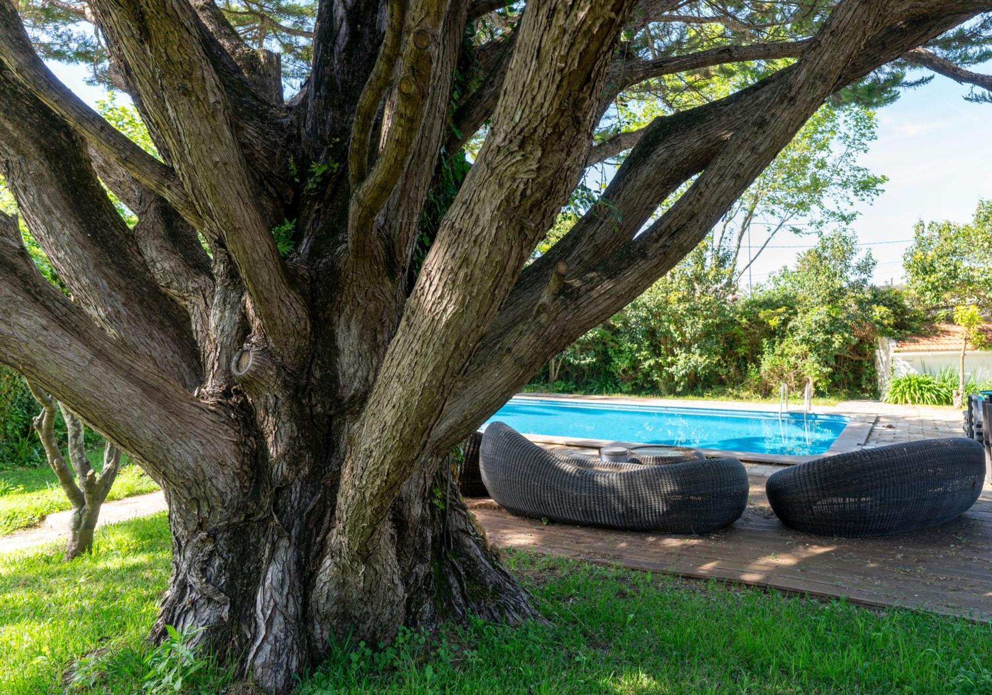 Guest house Das Rosas