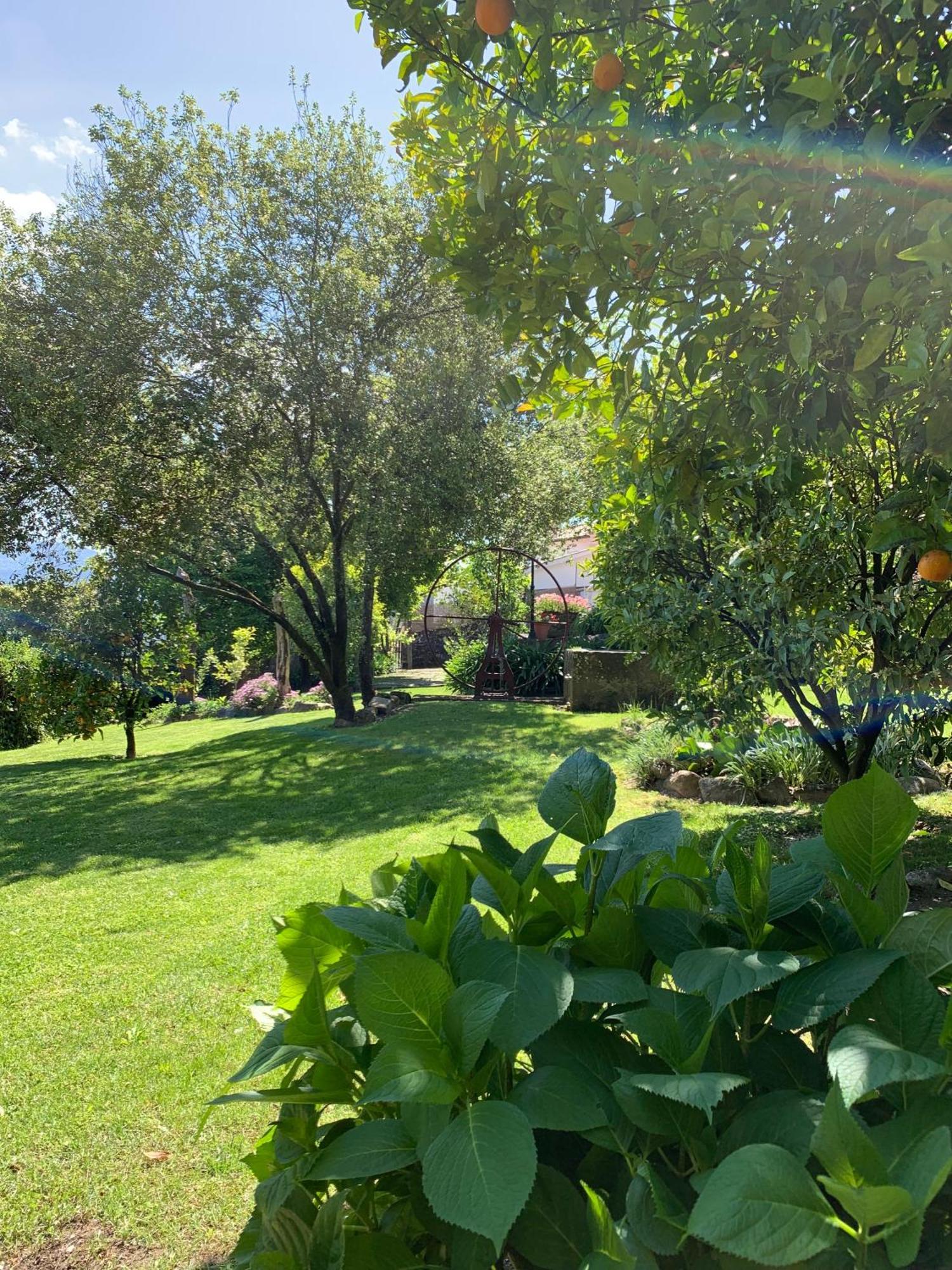 Quinta De Canhoes Country house *