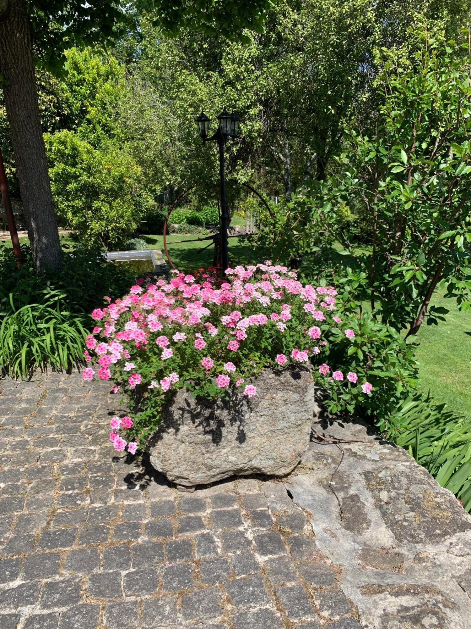 Quinta De Canhoes *