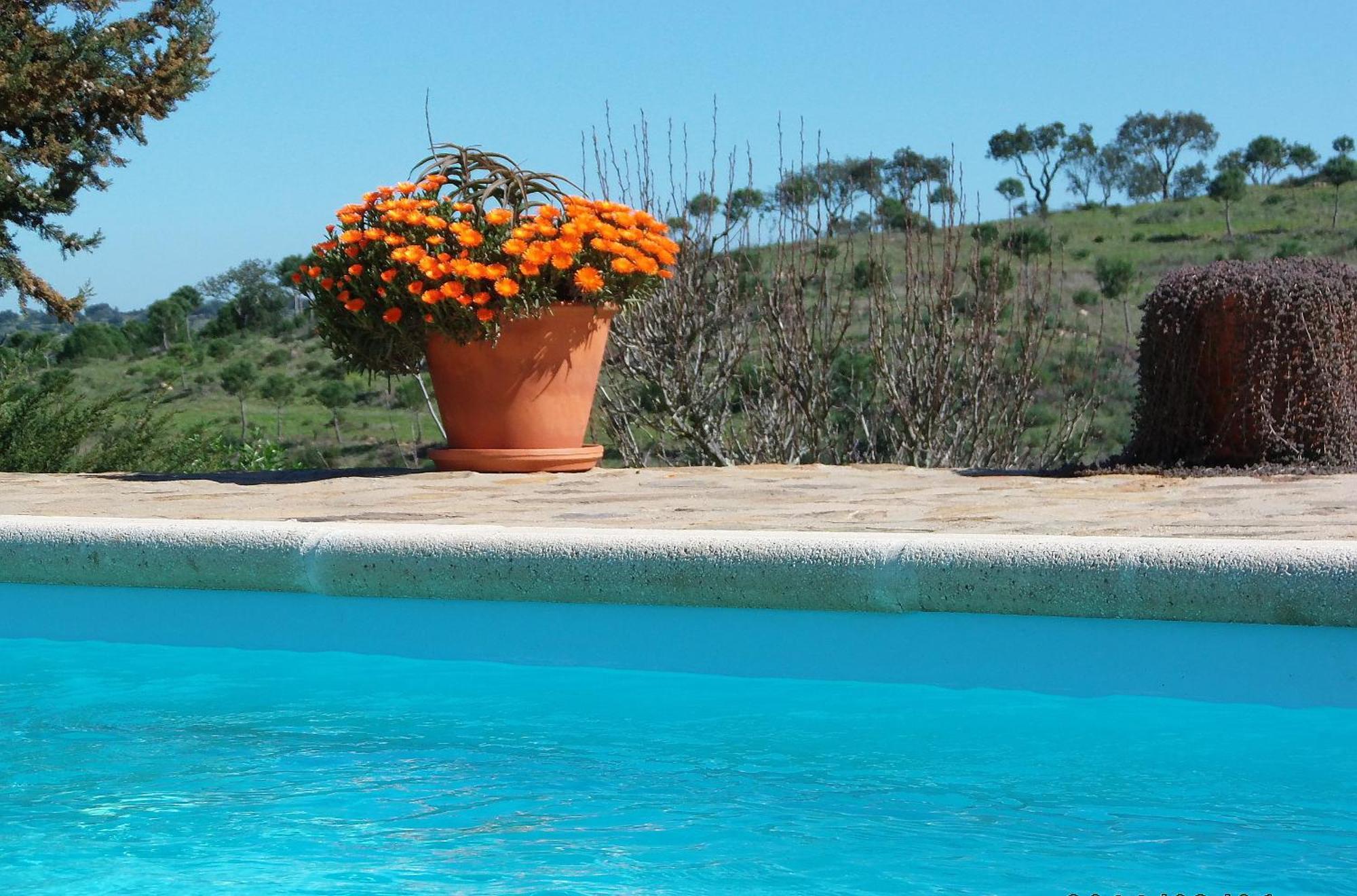 Country house Ninho Da Poupa Serpa