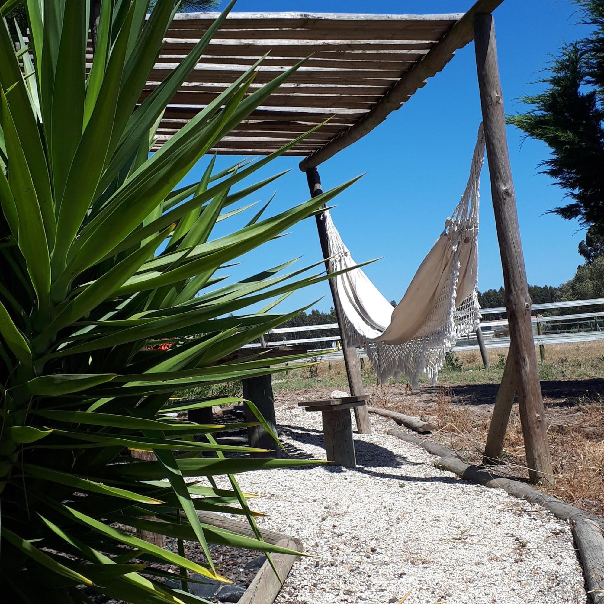 Farm stay Setequintas Zambujeira do Mar