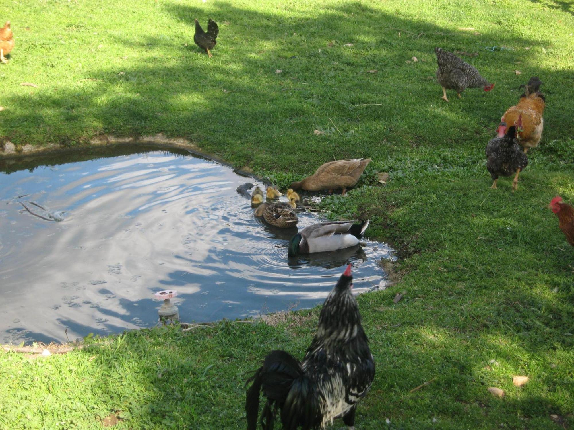 Quinta Das Pias Pinhel