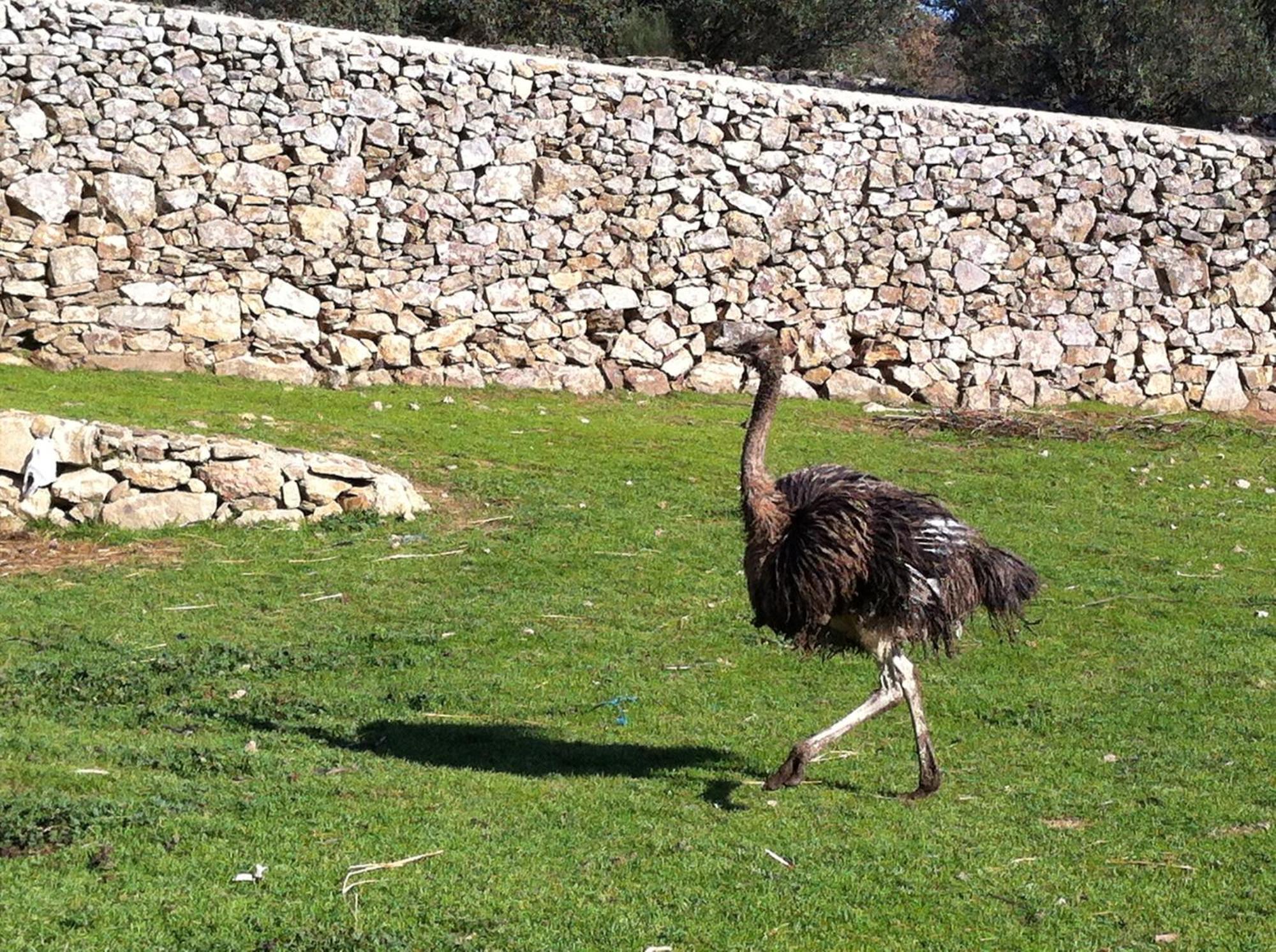 Quinta Das Pias * Pinhel