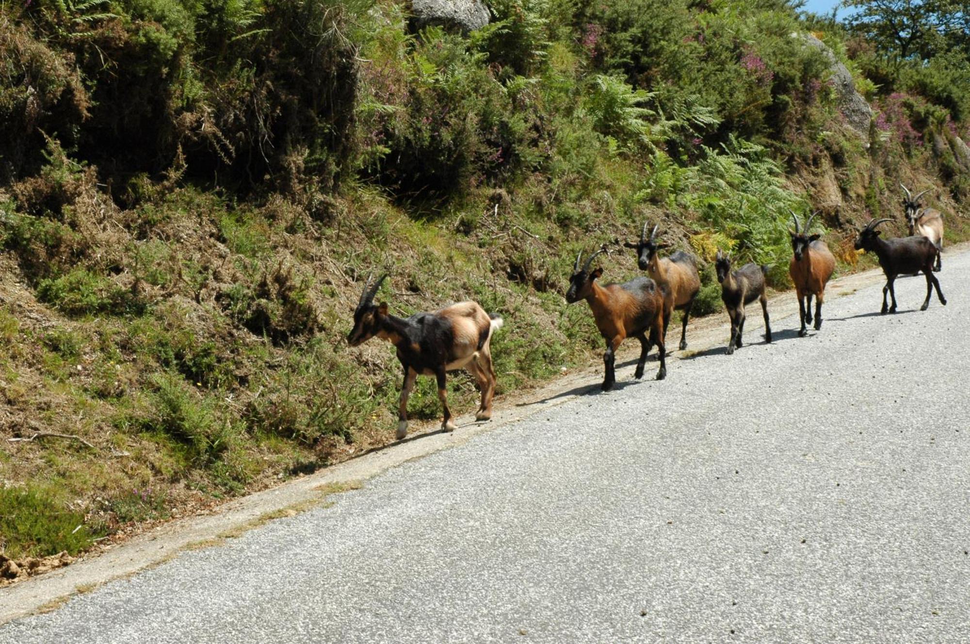 Monte Abades Casa rural