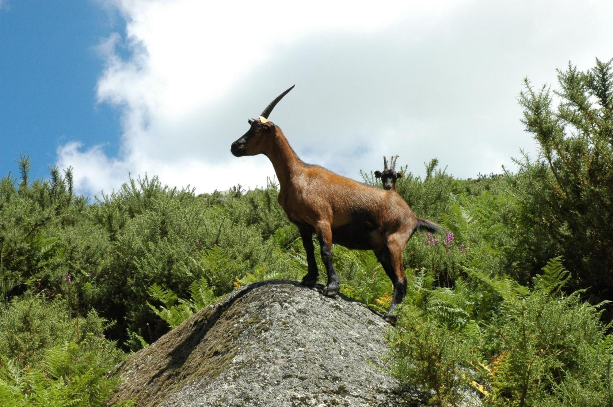 Monte Abades Casa rural *