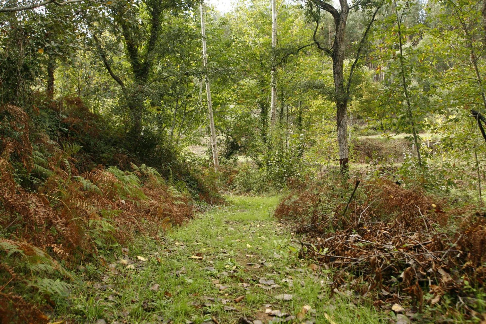 Gasthuis Dos Castanheiros Ferreira do Zêzere