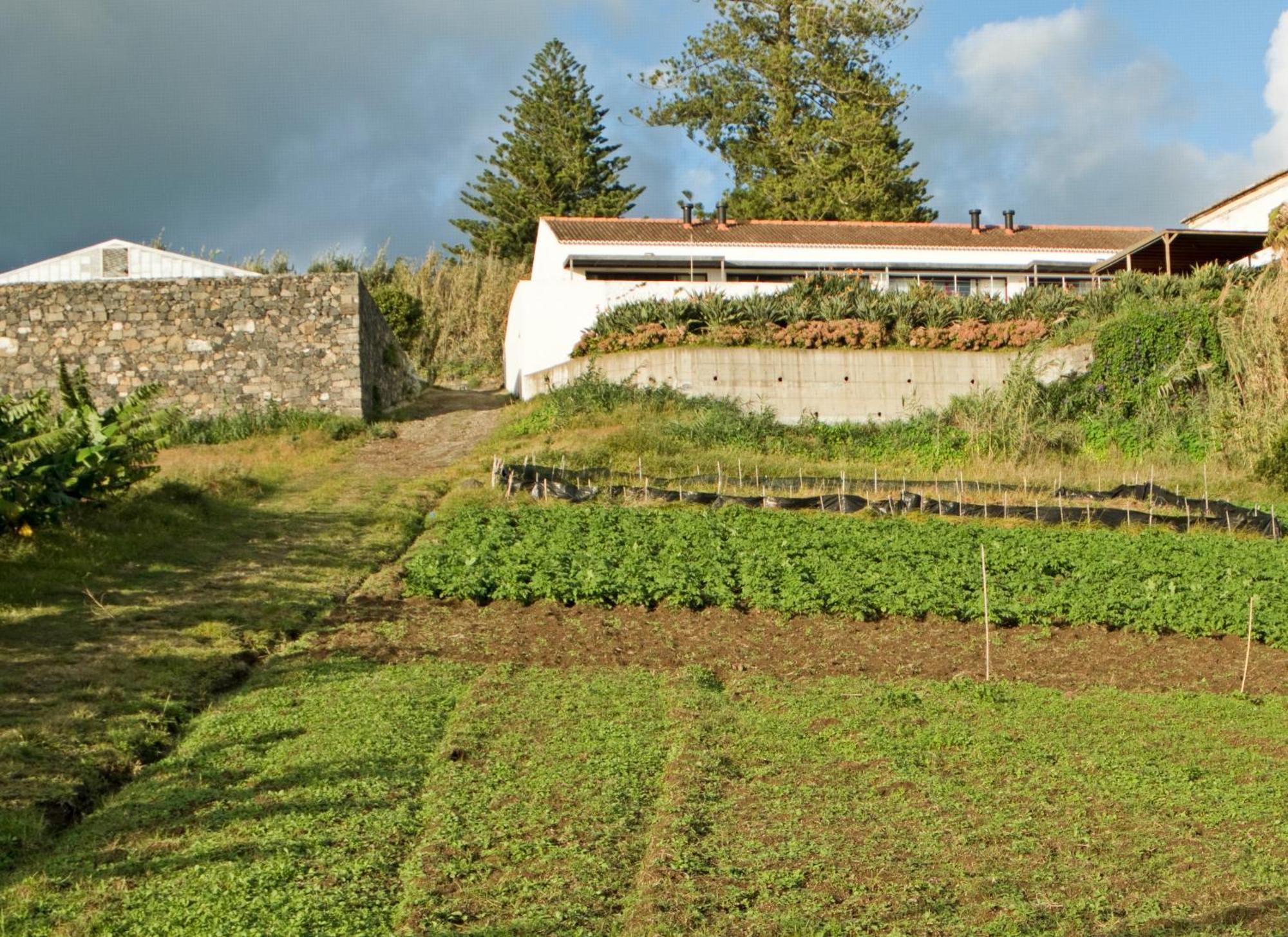 Vakantieboerderij Qva - Quinta Velha Amoreiras *
