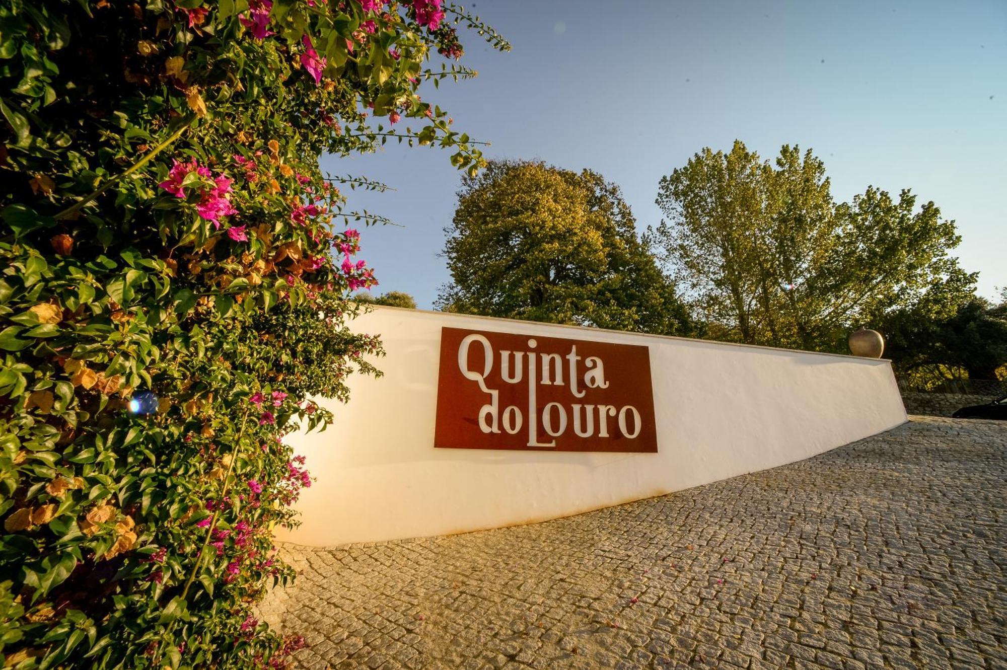 Quinta Do Louro Country house *