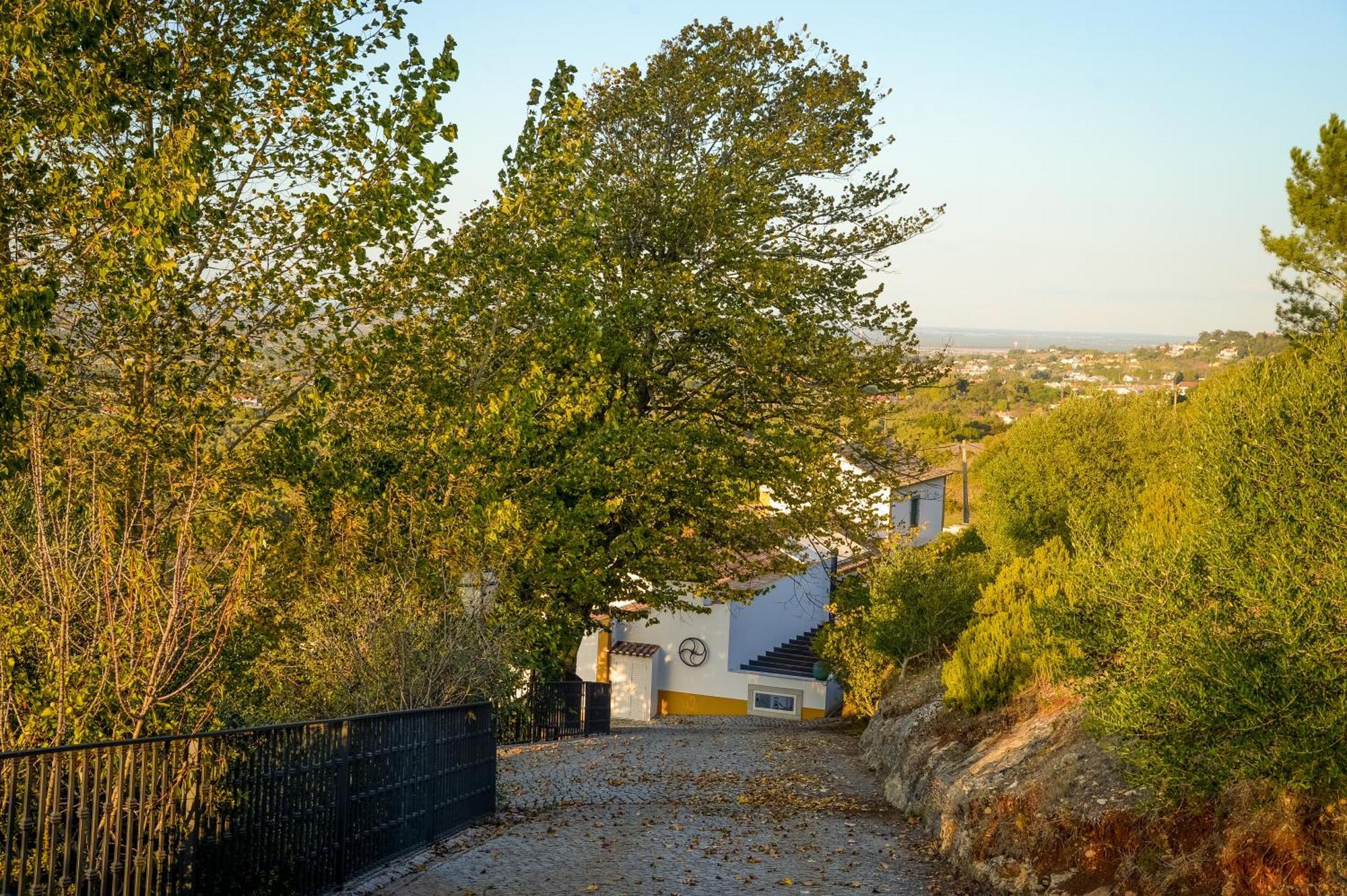 Quinta Do Louro Country house *