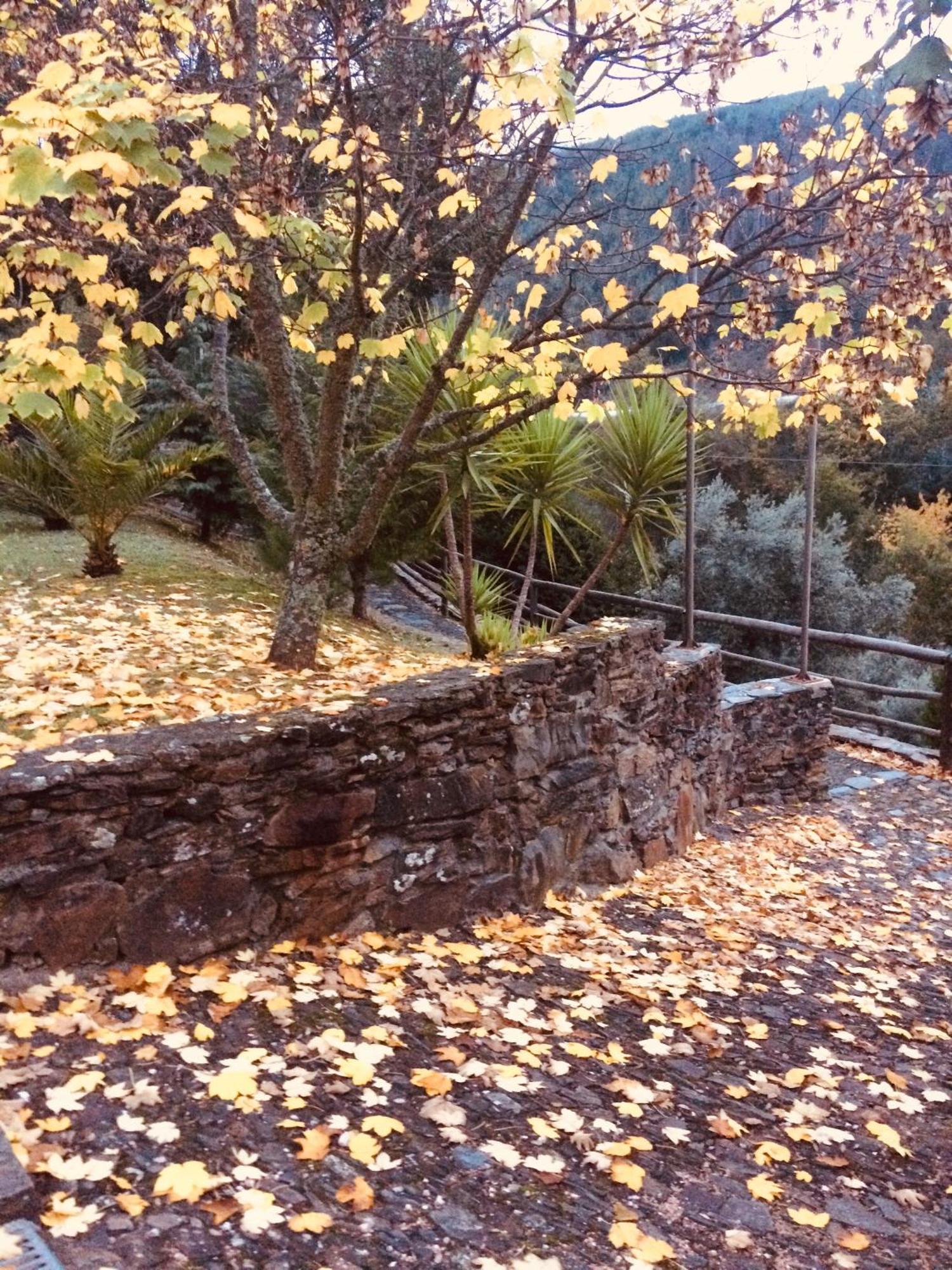 Casa Do Ourico Figueiro Dos Vinhos