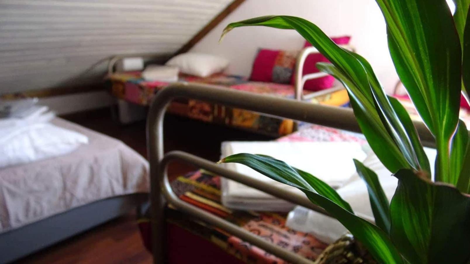 Da Garca Bed & Breakfast Sao Pedro do Sul