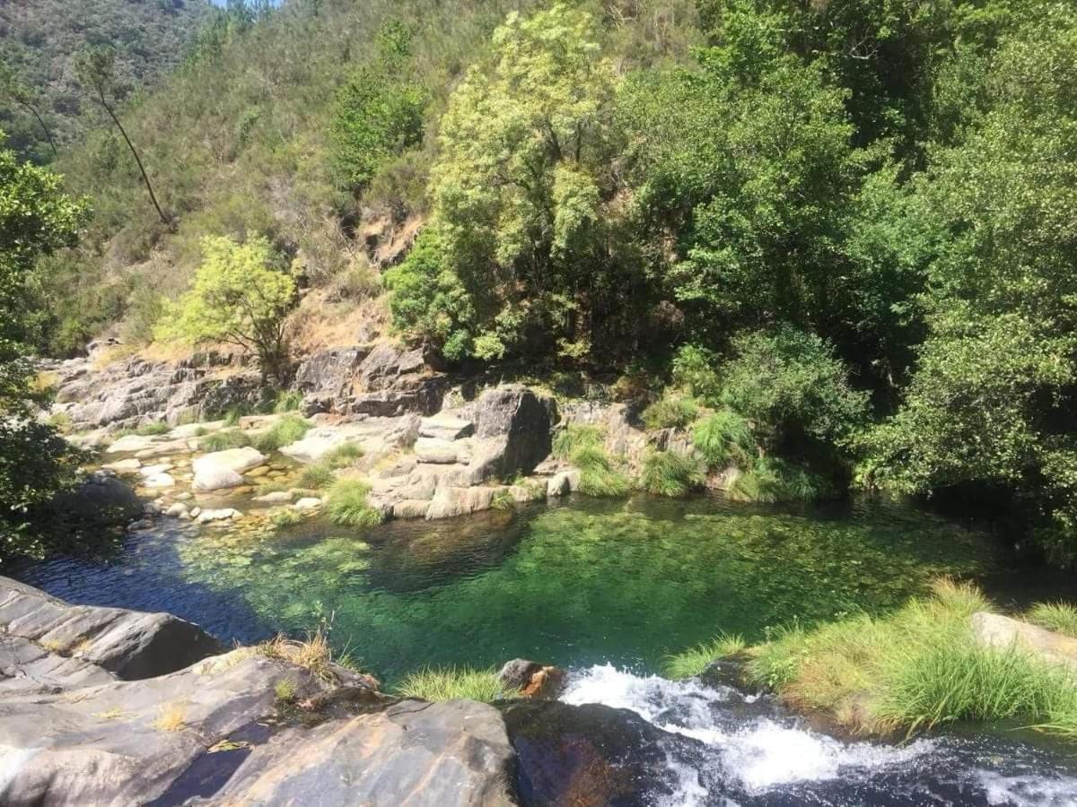 Da Garca Sao Pedro do Sul